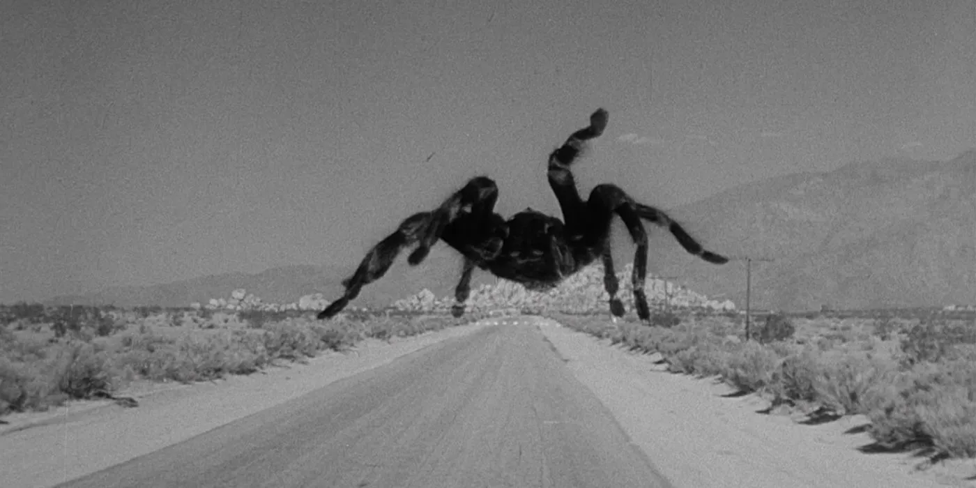 A large tarantula crossing an empty landscape in the 1955 film The Tarantula Image