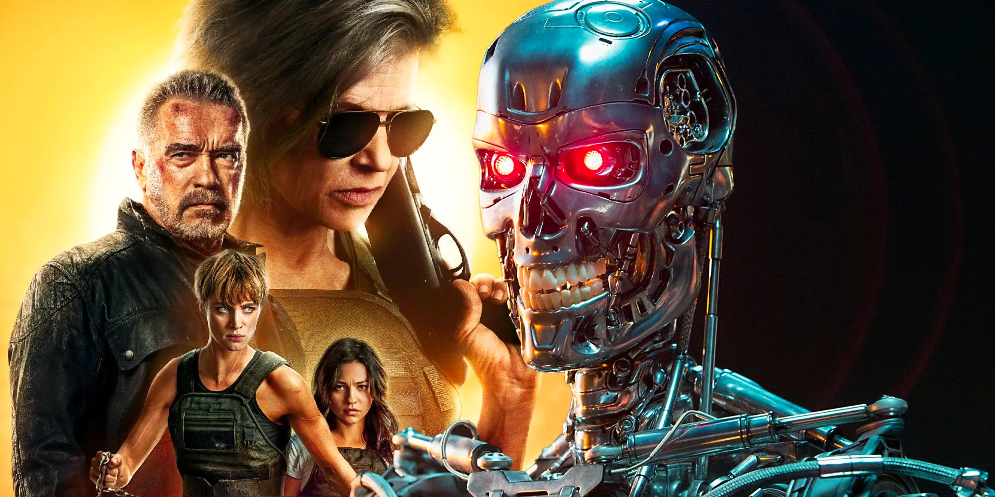 A Terminator and the Terminator Dark Fate poster Image