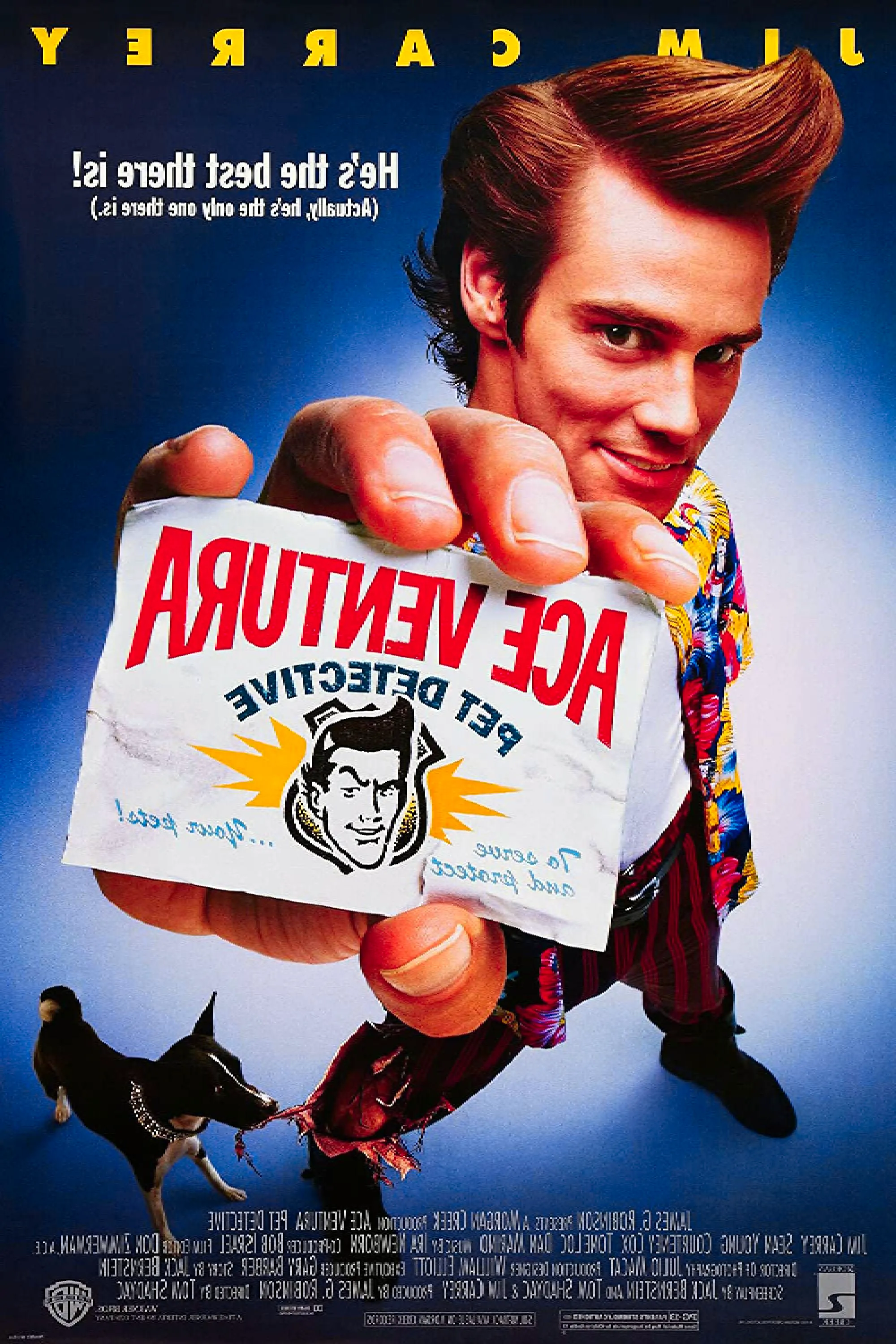 ace ventura Image