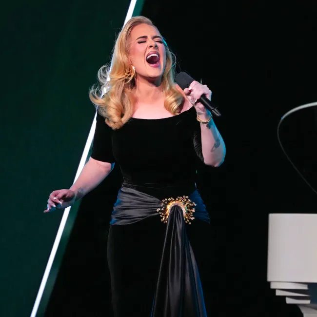 Adele suffering from ear infection: 'It's worse than childbirth...' Image