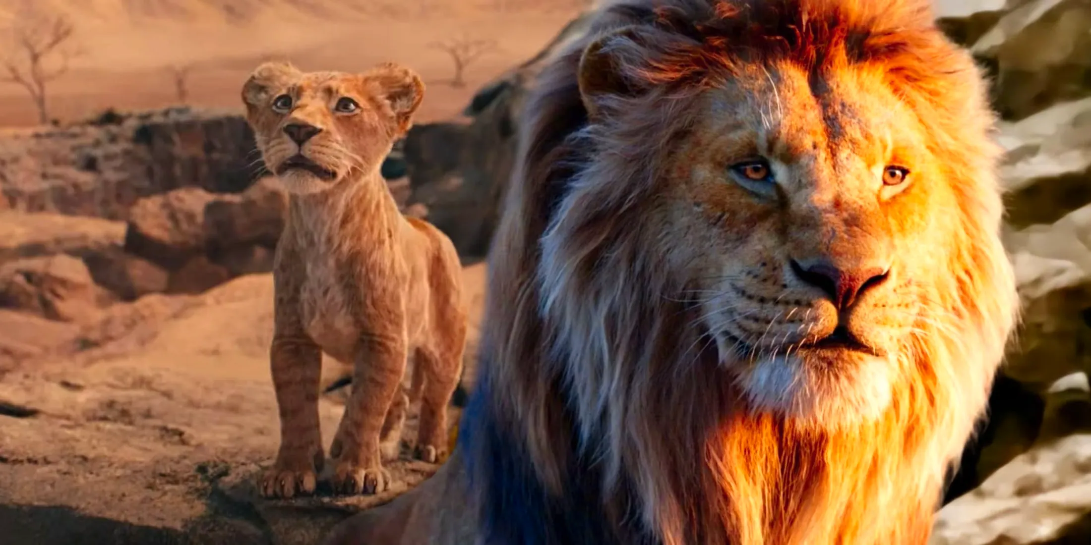 Adult Mufasa from The Lion King 2019 next to Young Mufasa from Mufasa The Lion King Image