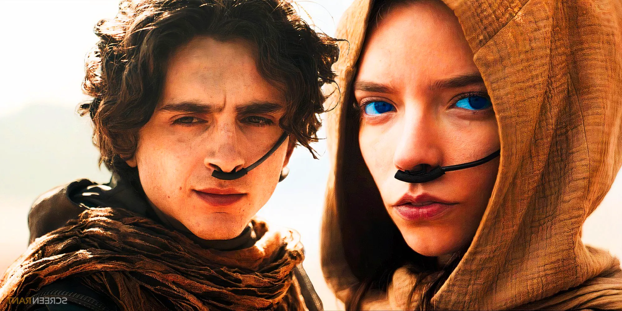 Alia Atreides (Anya Taylor-Joy) and Paul Atreides (Timothée Chalamet) in Dune 2 Image