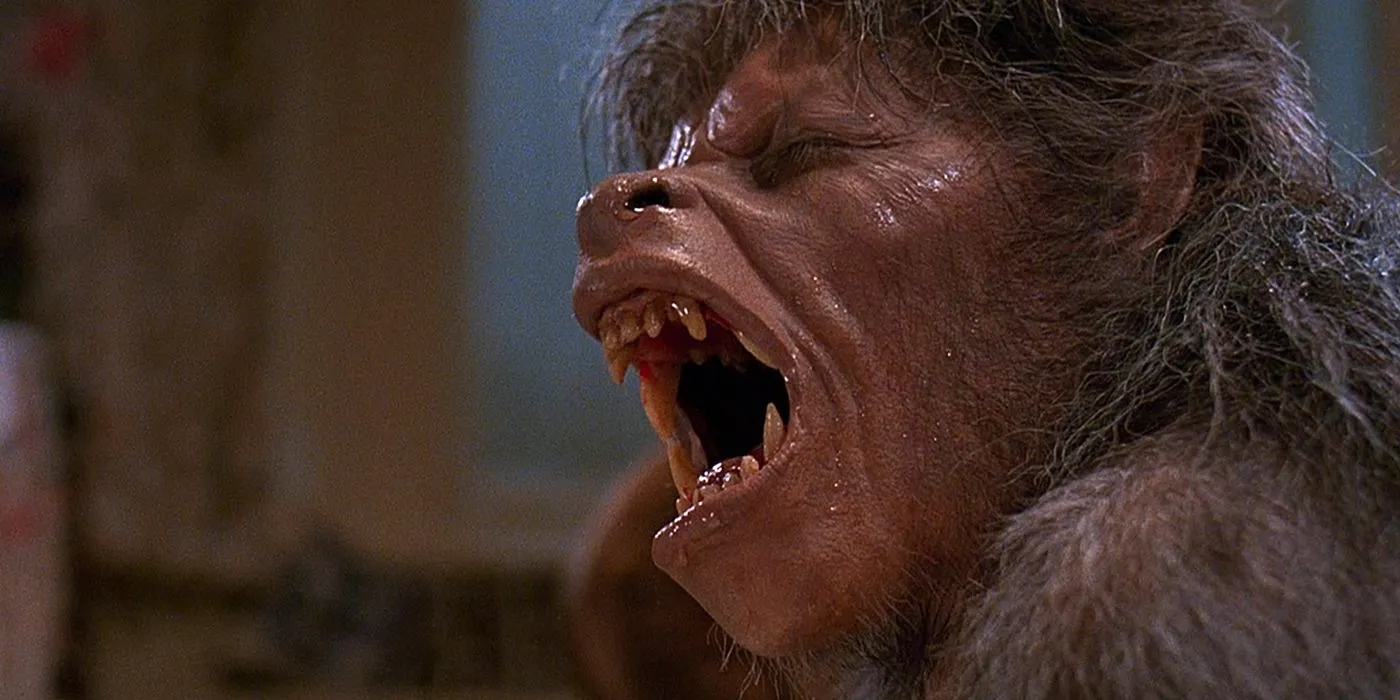 An American Werewolf in London Image