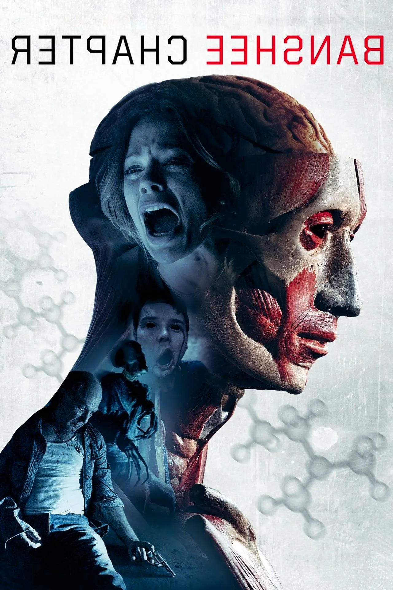 Banshee Chapter (2013) - Poster Image