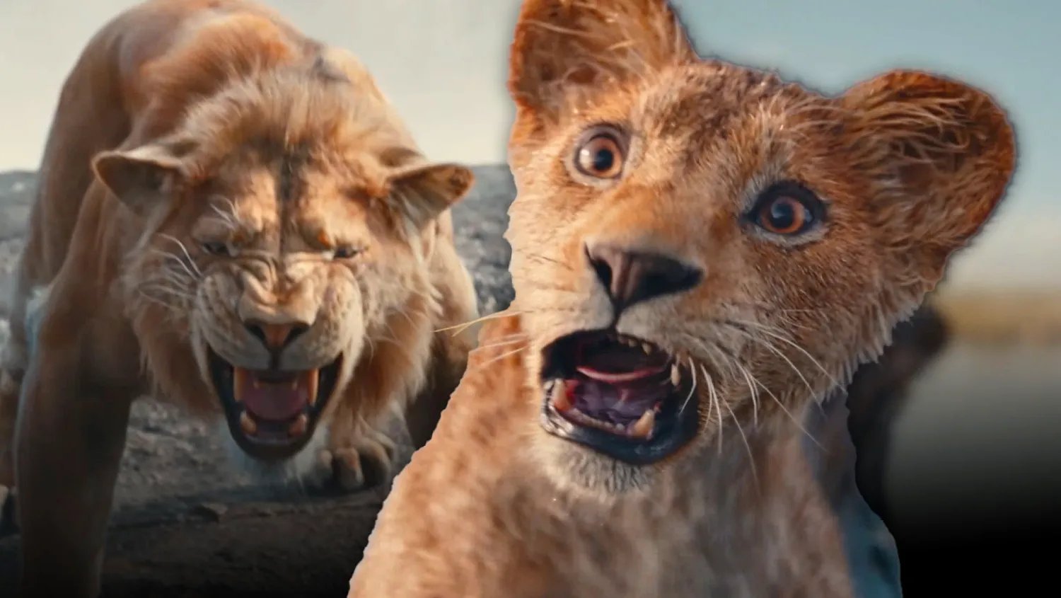 Barry Jenkins SLAMS Critics Over 'Mufasa: The Lion King'!  Director's EPIC Social Media Defense! MUST READ! image 1 Image