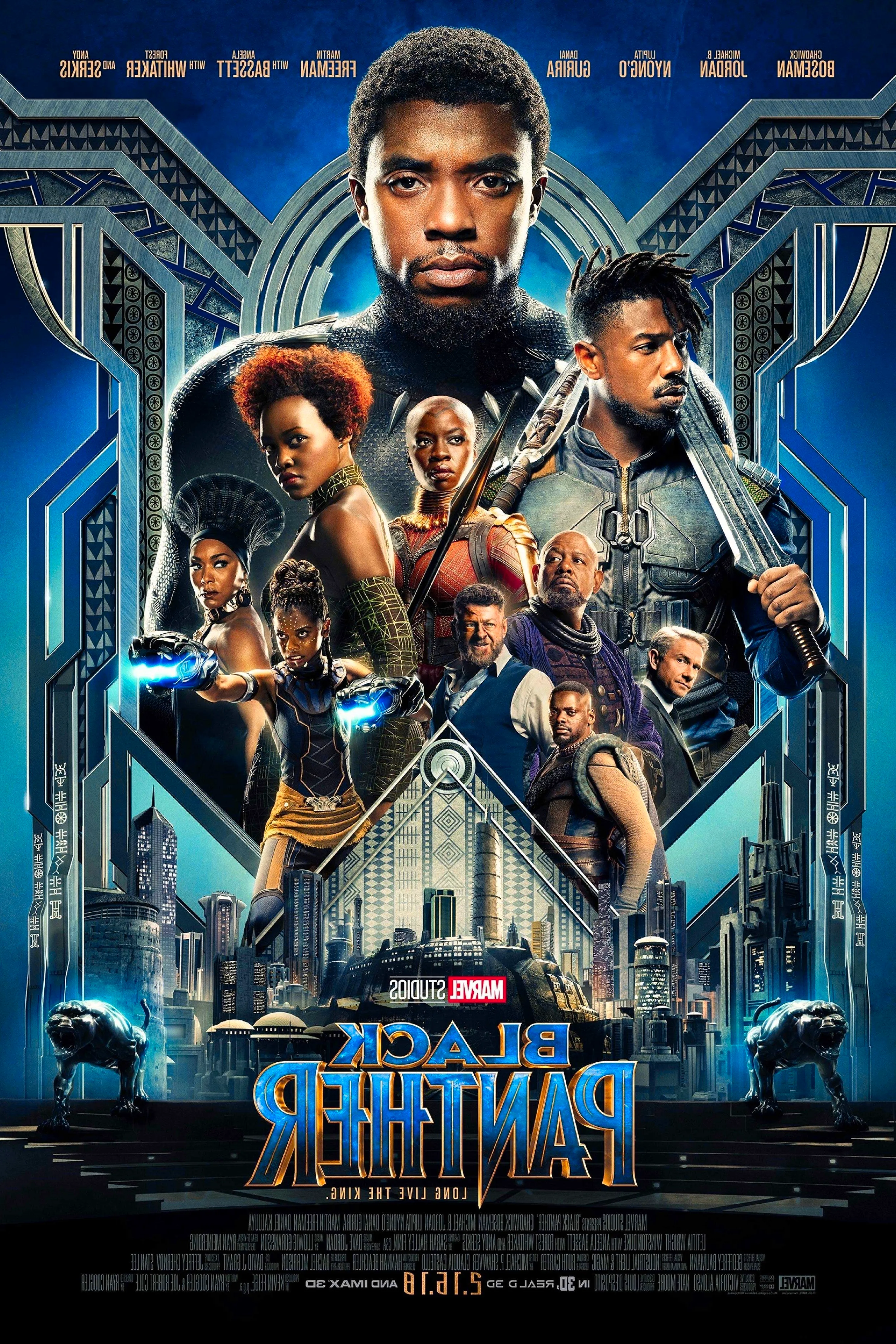 Black Panther Theatrical Poster depicting the primary cast Image