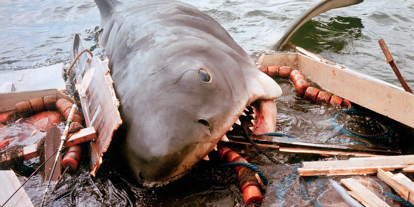 Bruce the shark eating a ship Image