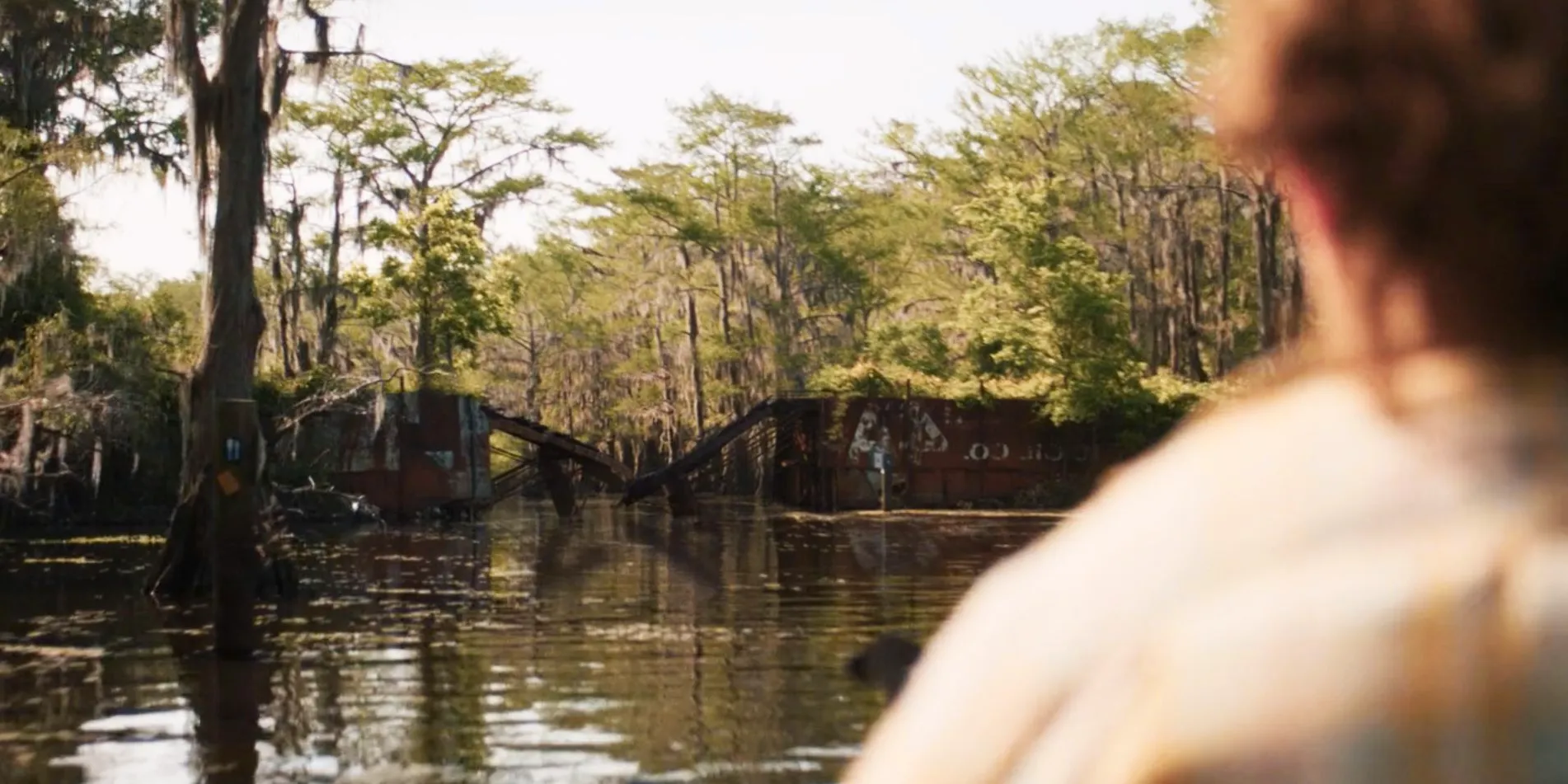 Caddo Lake Ellie on her boat with the bridge destroyed Image