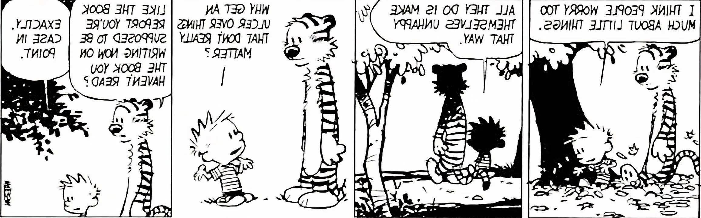 Calvin and Hobbes October 20 1988, Calvin resolves not to worry about his overdue book report Image