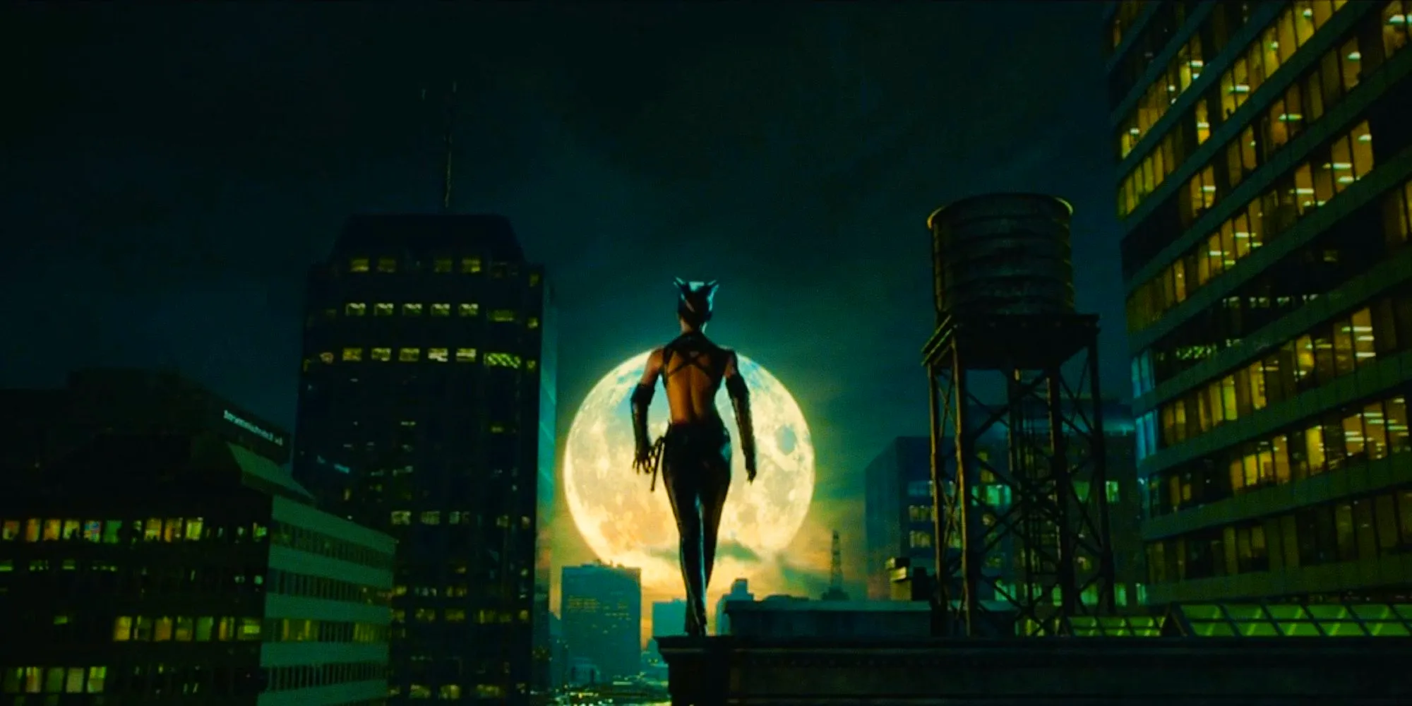 Catwoman stands in front of a full moon in Catwoman Image