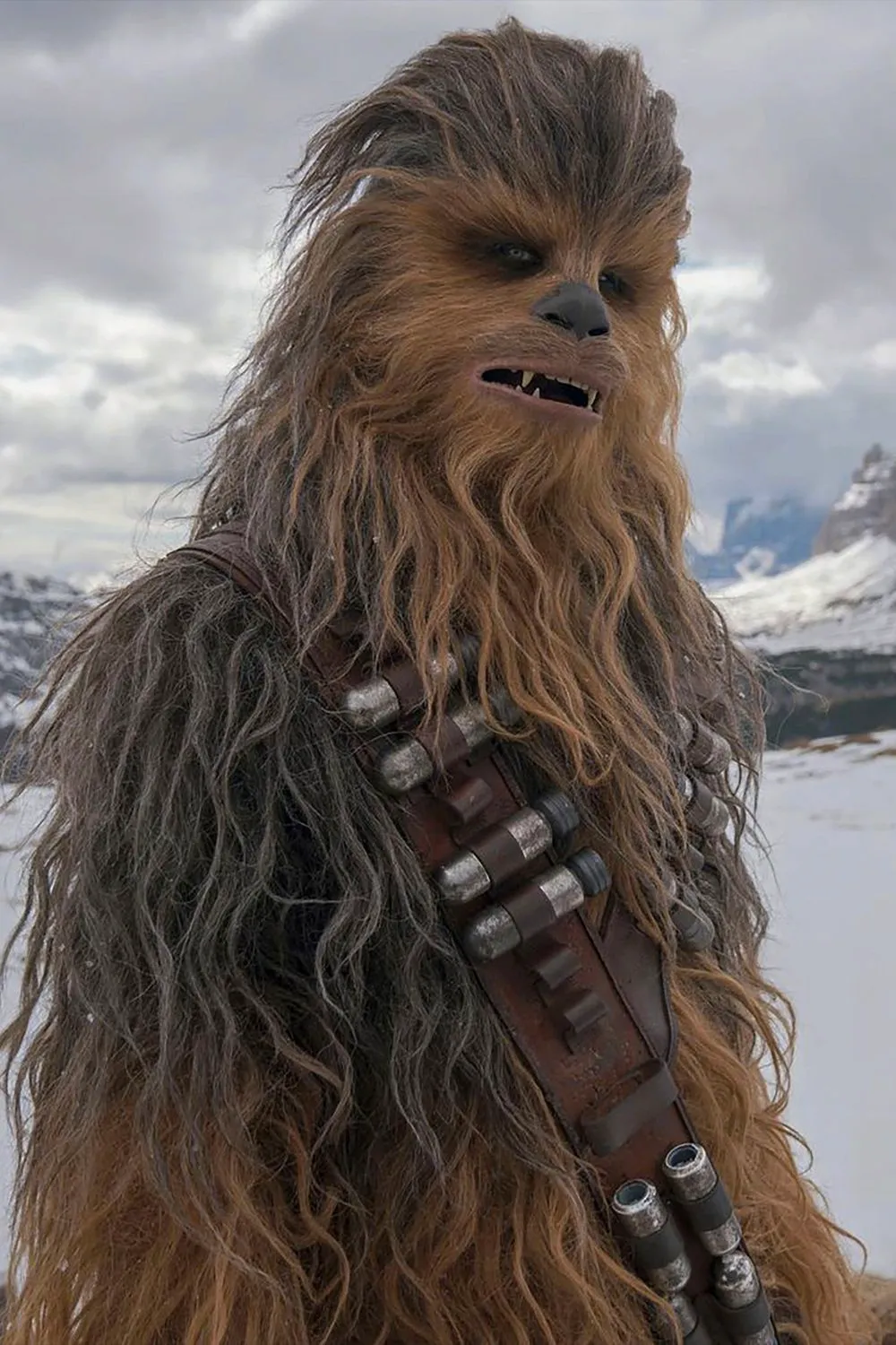 Chewbacca in Solo A Star Wars Story Image