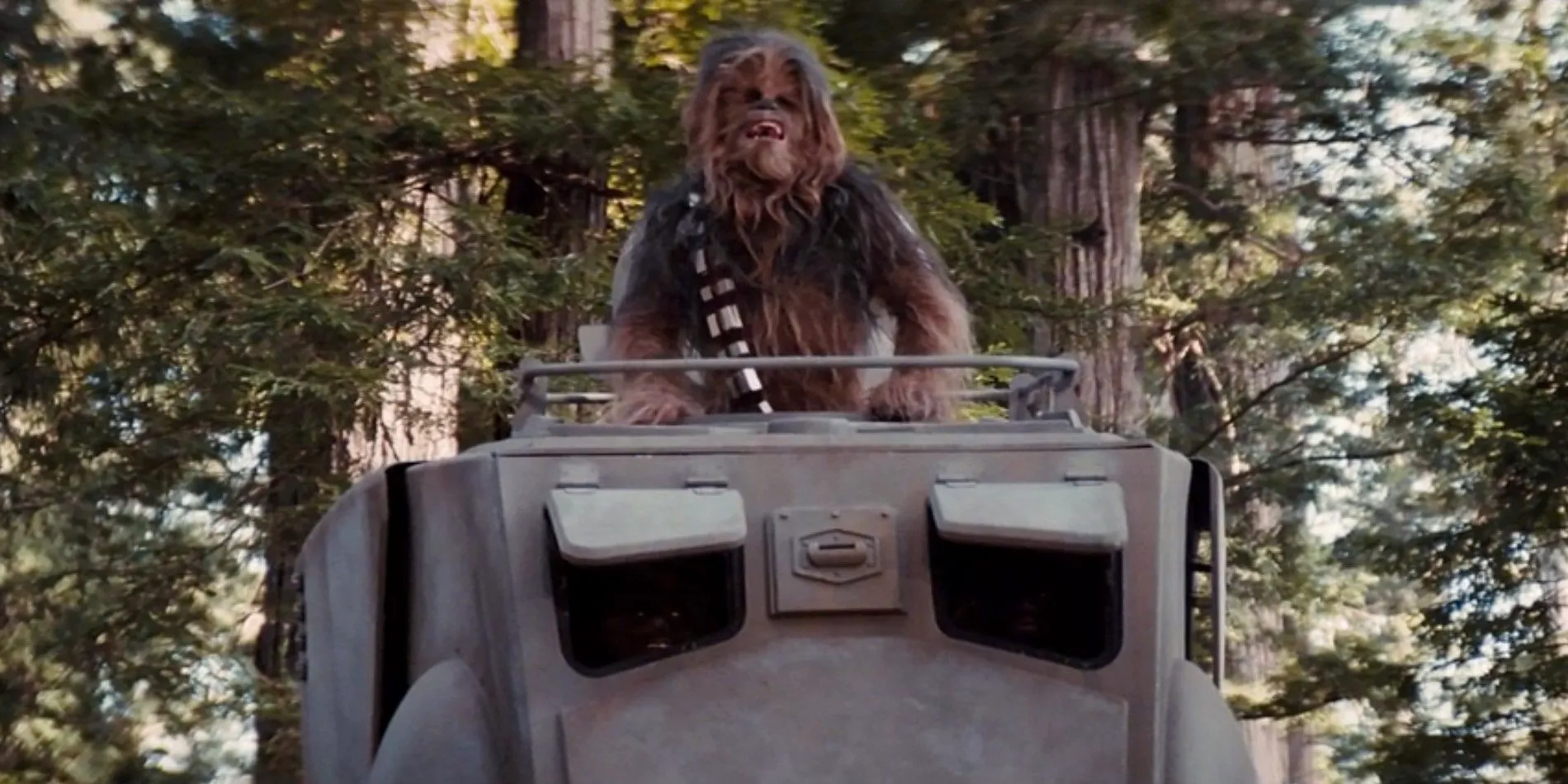 Chewbacca - Star Wars Return of the Jedi Image