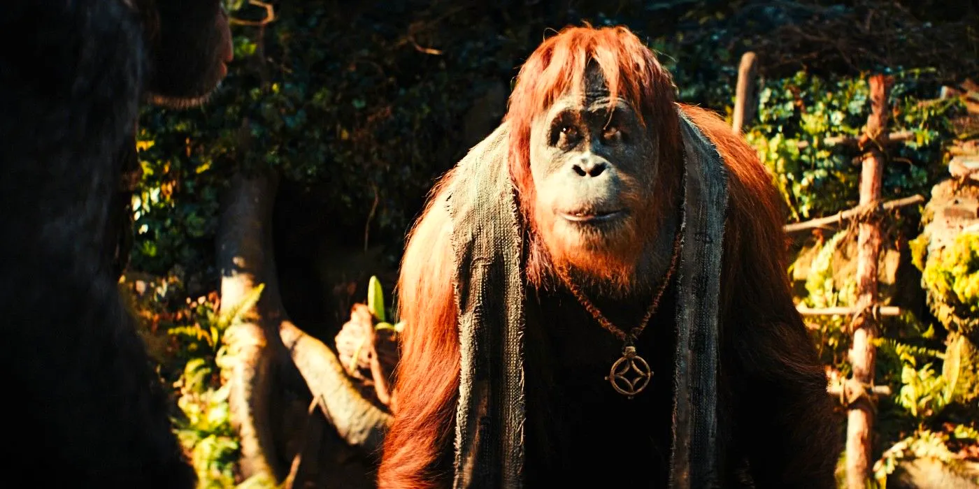 Close-up of Raka standing amongst stones and rubbles in Kingdom of the Planet of the Apes Image