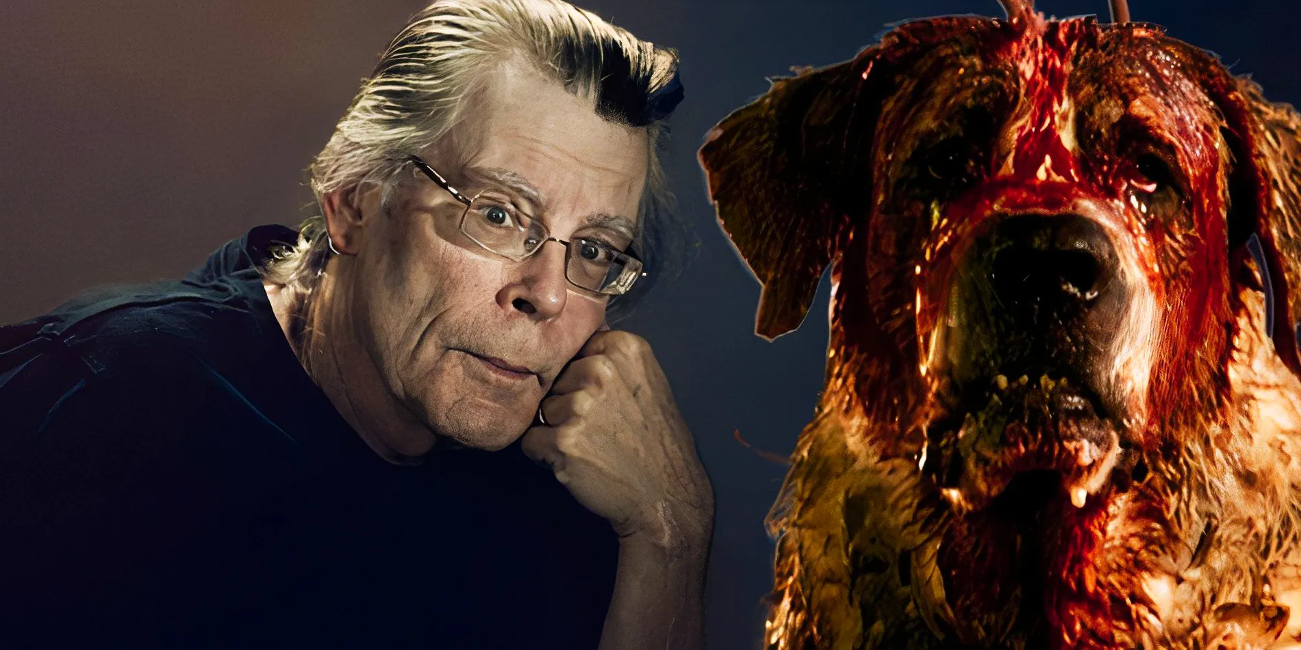 Collage image of Stephen King and Cujo Image