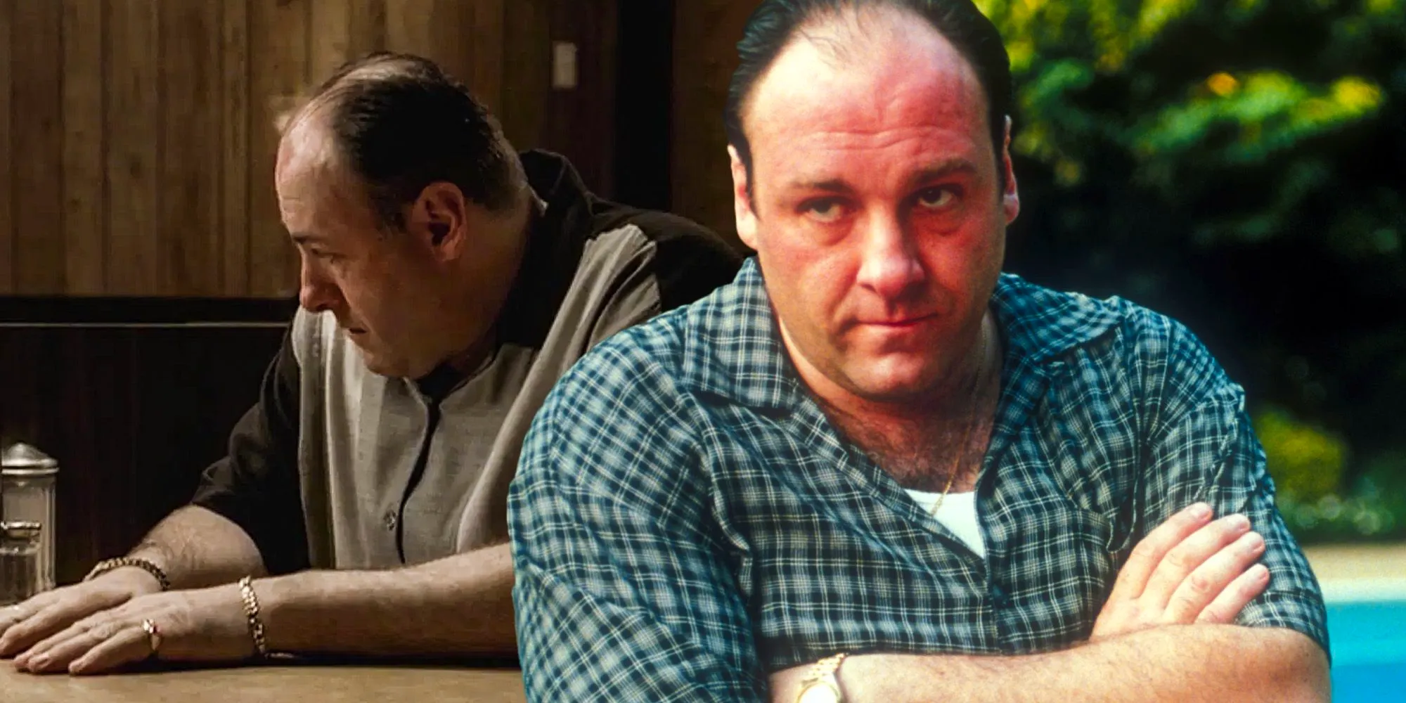 Collage of two images of Tony Soprano from The Sopranos Image