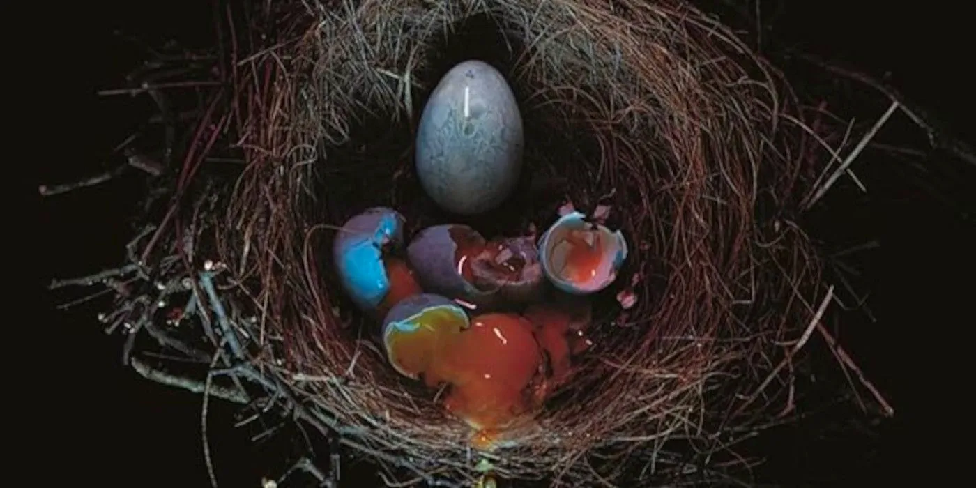 Cuckoo Book Cover featuring broken eggs with yolk coming out in a nest Image