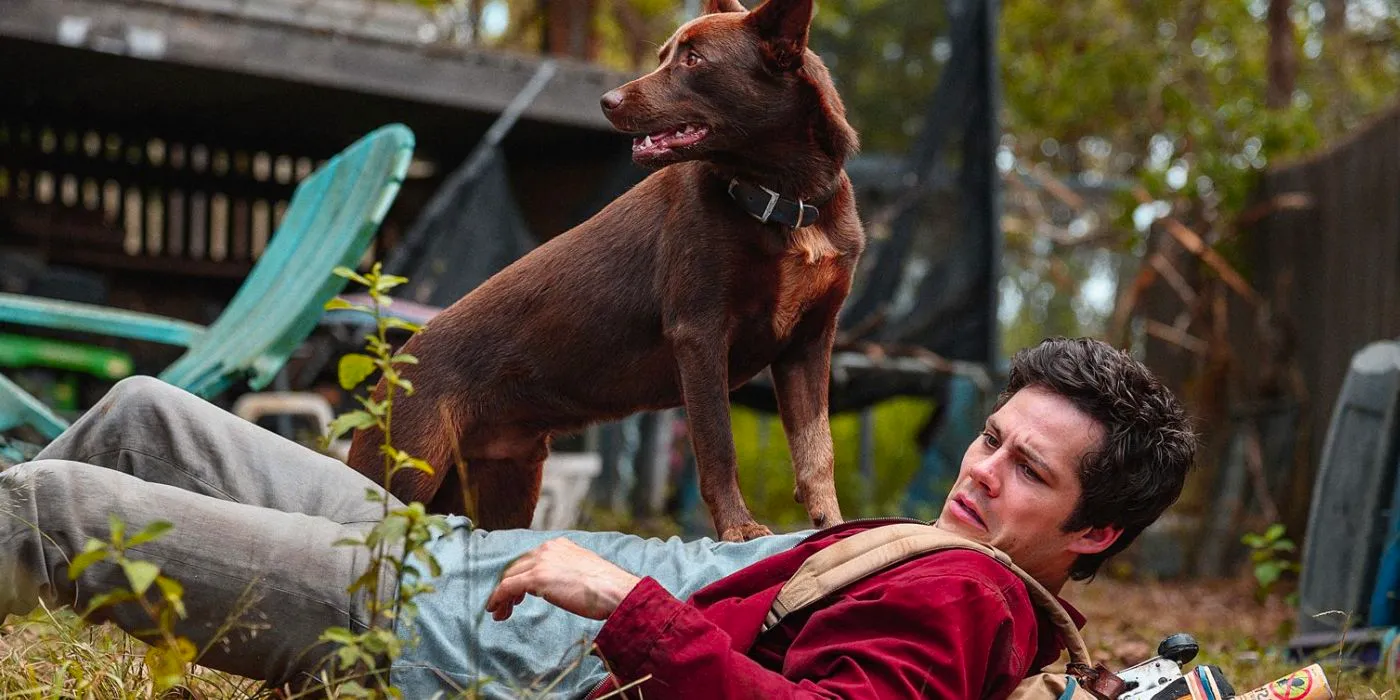 Dog standing on Dylan O'Brien's chest in Love and Monsters 2020  Image