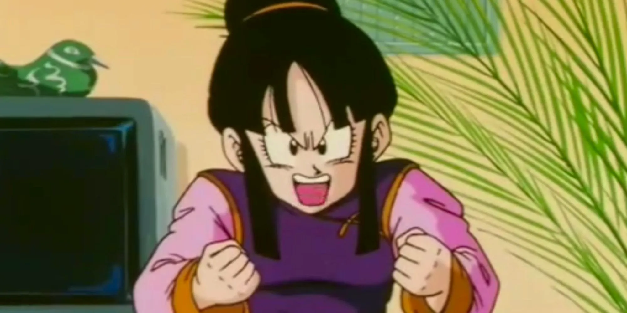 Dragon Ball Chi Chi Image