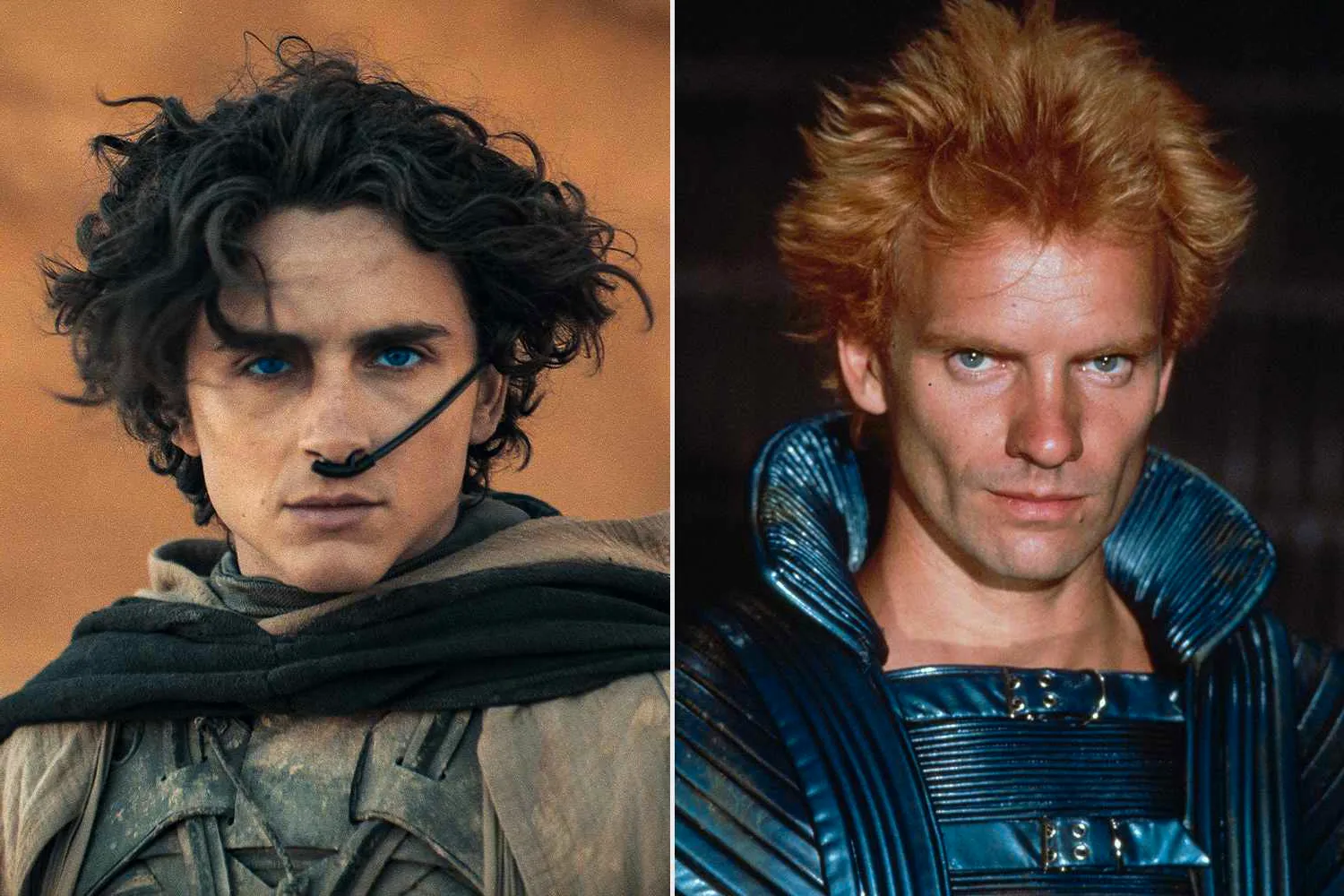 Dune 1984 Cast: The Actors, Sting's Surprise Role, & Lynch's Vision - A Nostalgic Look image 2 Image