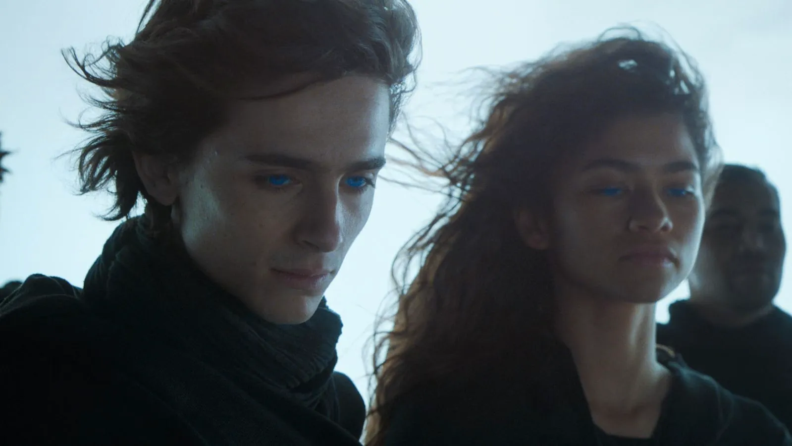 Dune 2 Box Office: $500 Million and Climbing! Will It Beat the First Movie? HUGE Sequel News! image 1 Image