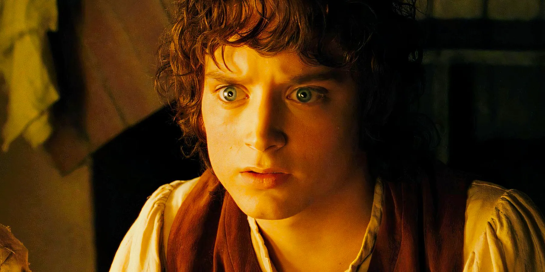 Elijah Wood looking concerned as Frodo in The Lord of the Rings The Fellowship of the Ring Image