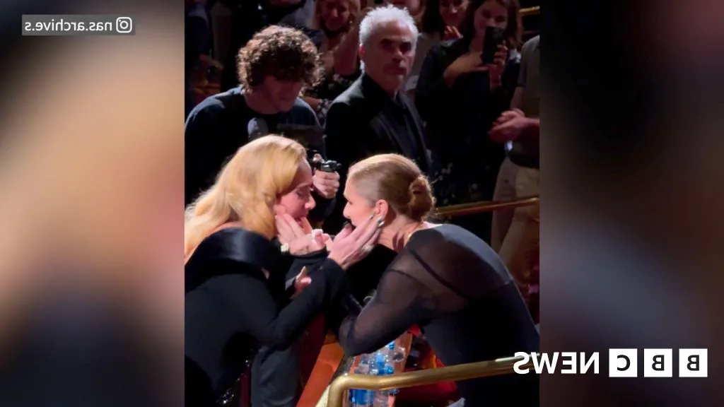 Emotional moment Adele hugs Celine Dion at Vegas show Image