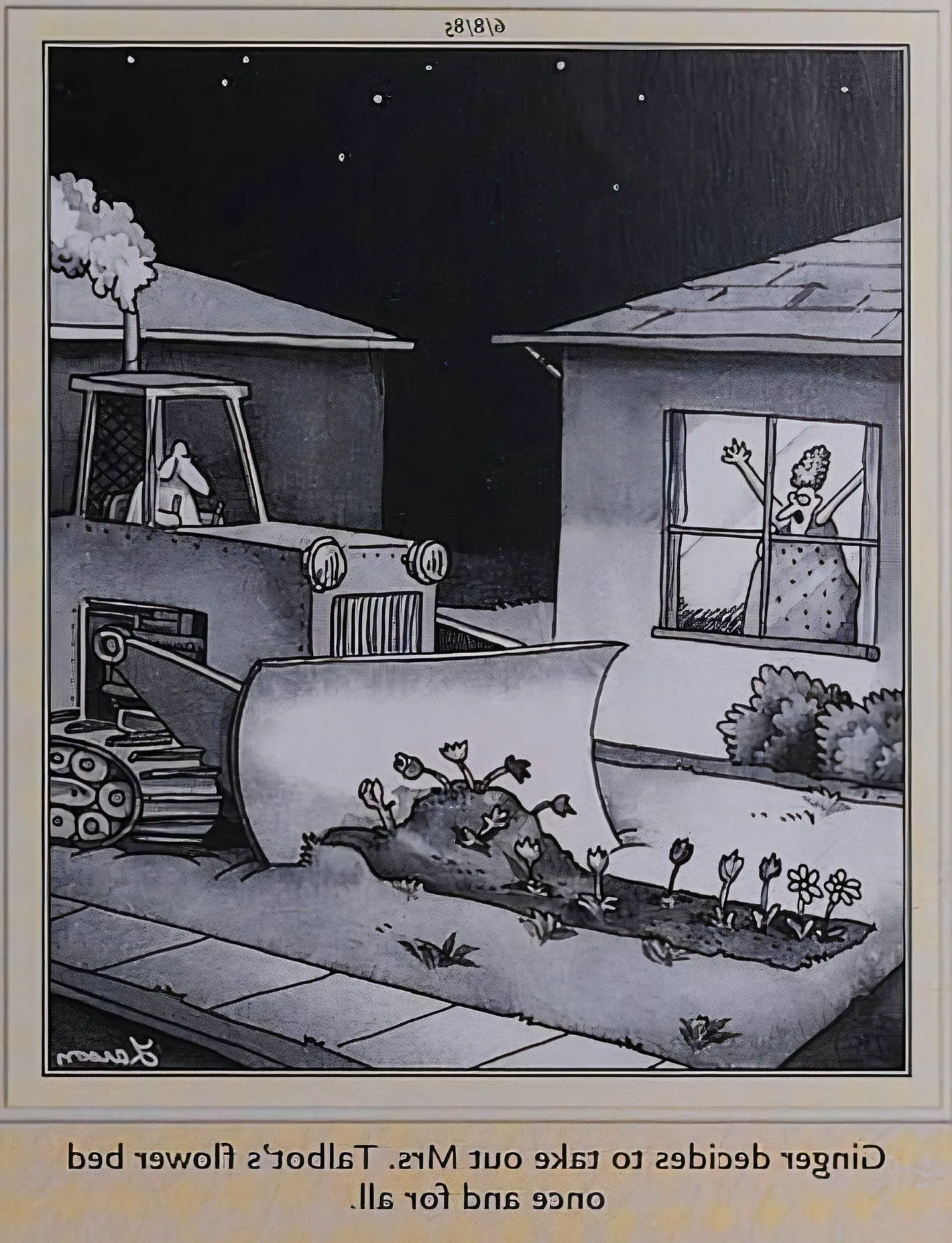 Far Side, a woman looks out through her window in dismay as a neighborhood dog steamrolls her garden Image