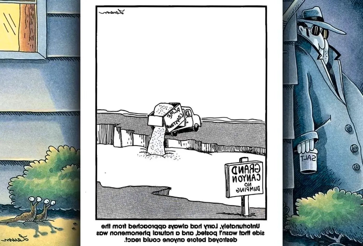 far side comic acme fills in the grand canyon Image