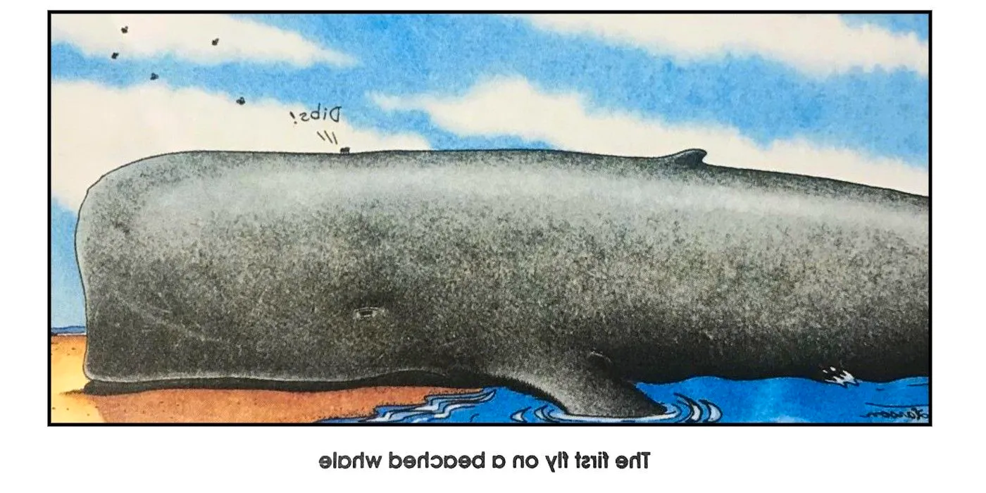 far side comic where a fly calls dibs on an entire whale Image