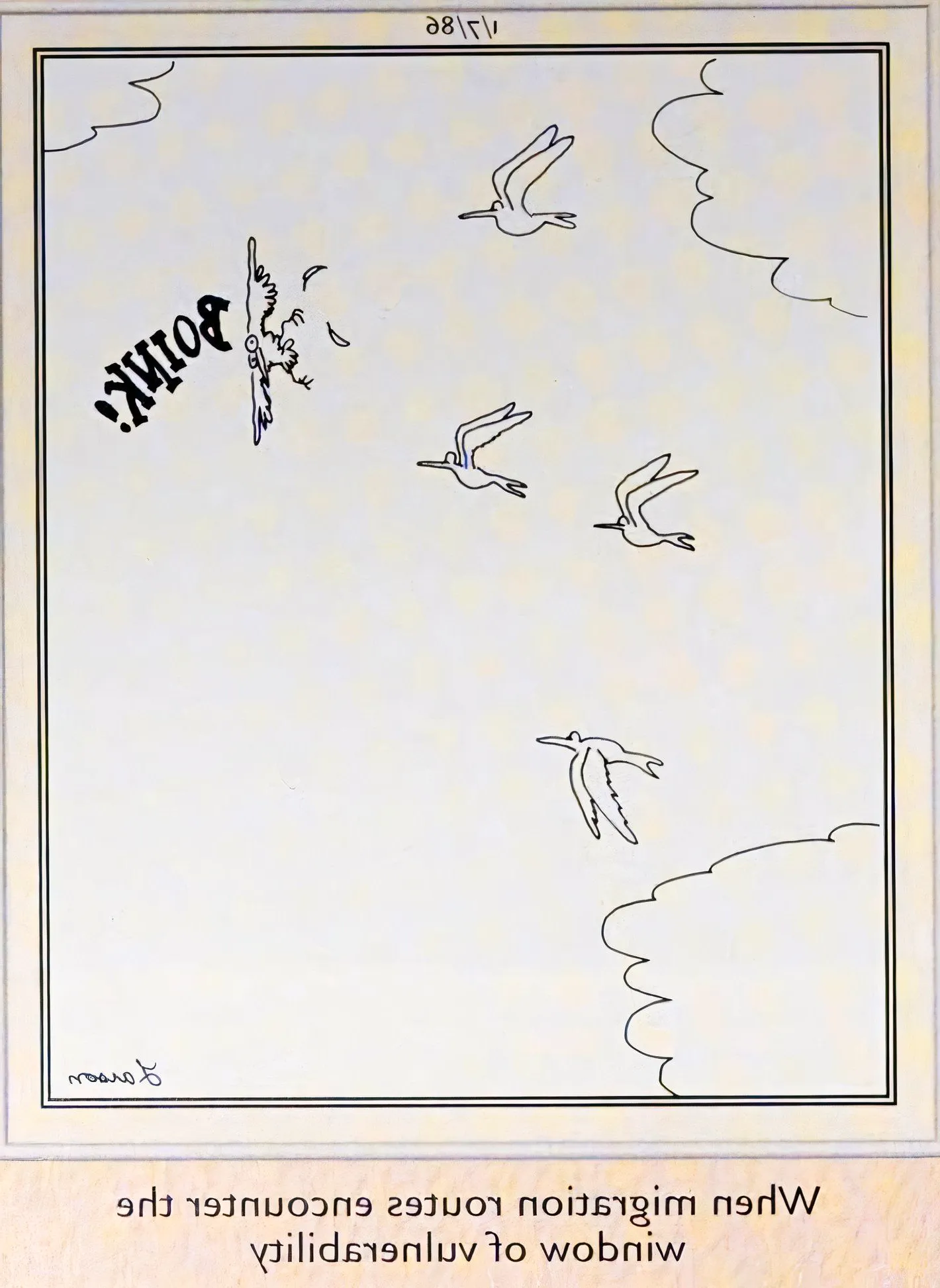 Far Side, January 7, 1986, a migrating bird hits the 'window of vulnerability' Image