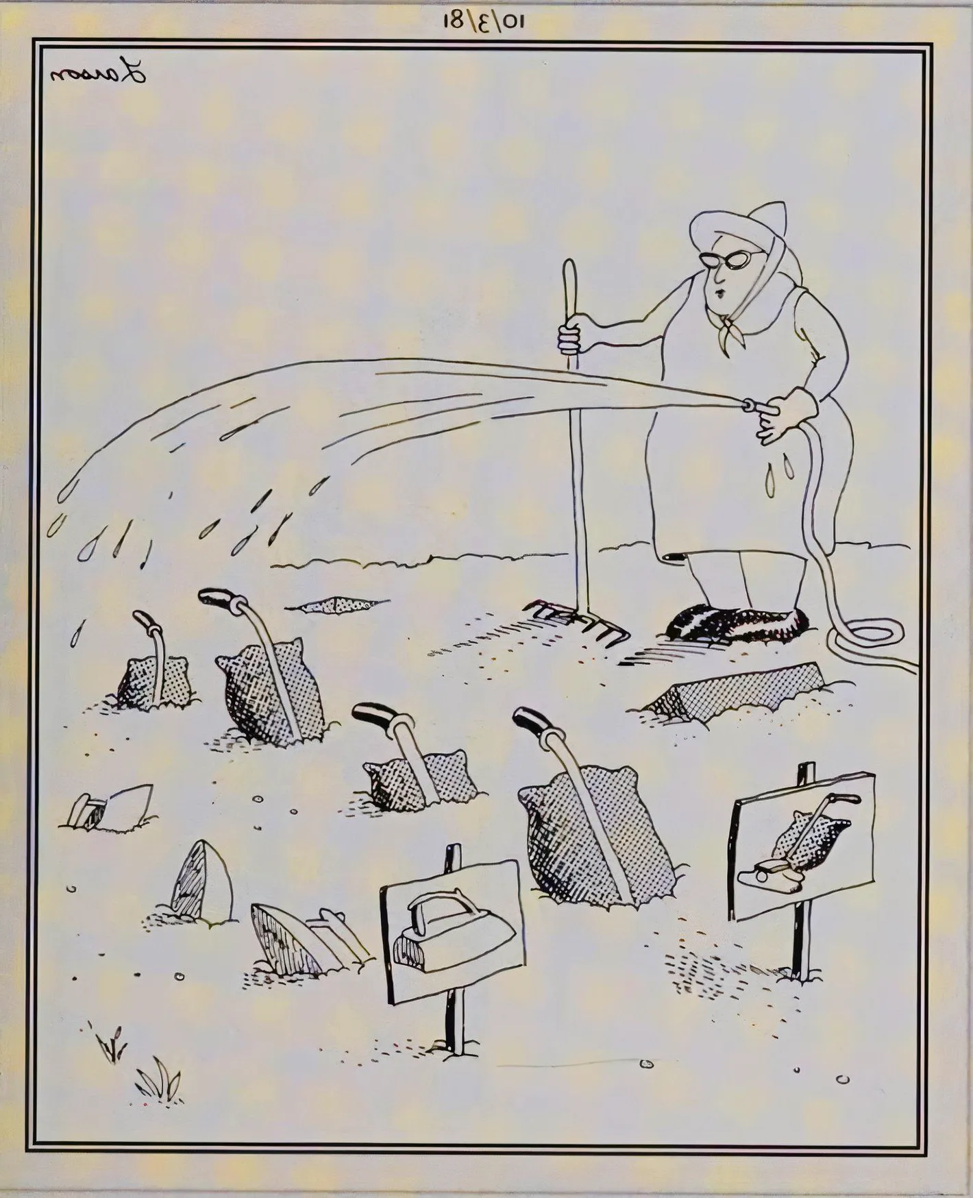 Far Side, October 3, 1981, a woman waters her appliance garden Image