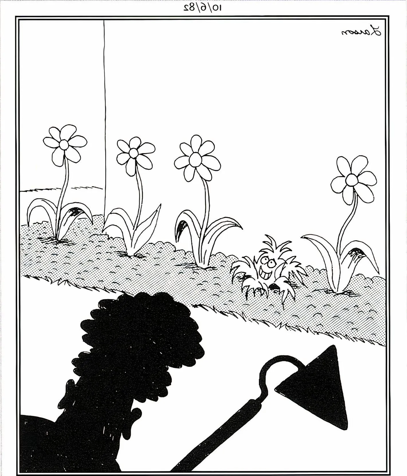 Far Side. October 6, 1982, a weed smiles nervously as a woman approaches her garden to remove it  Image