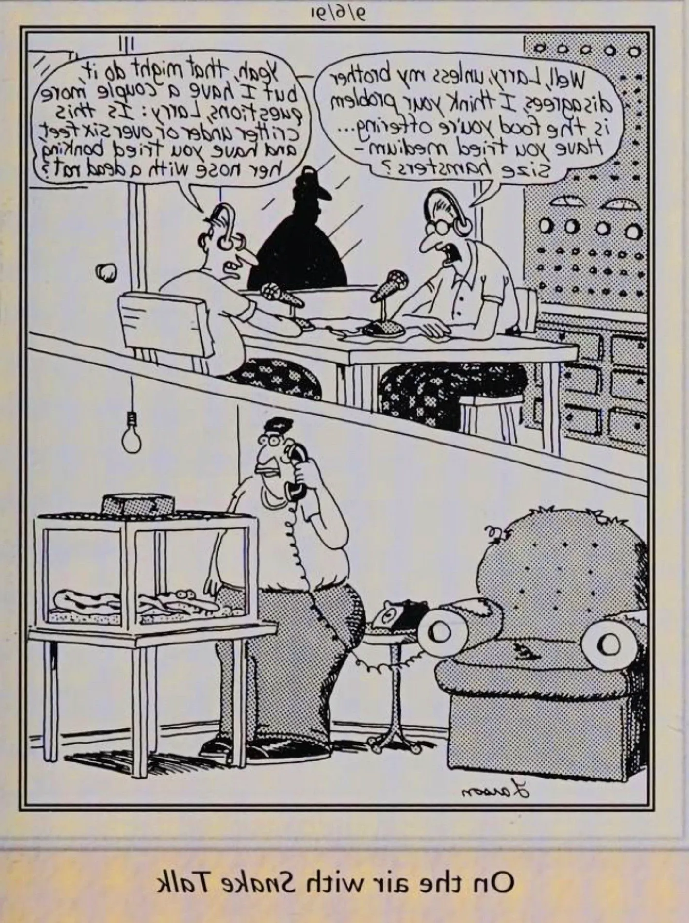 Far Side, September 6, 1991, split-image panel depicting a caller to the radio show Snake Talk Image