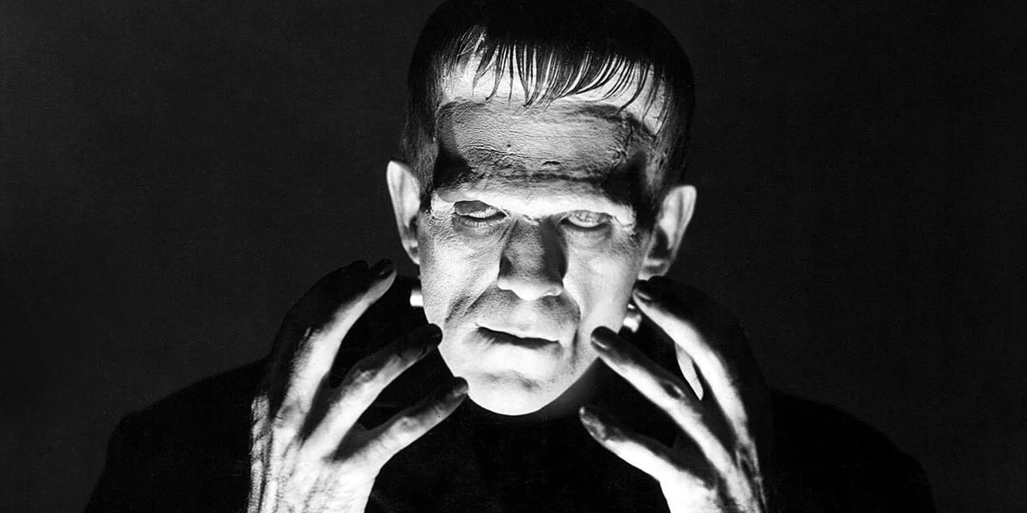 Frankenstein's Monster (Frankenstein) Image