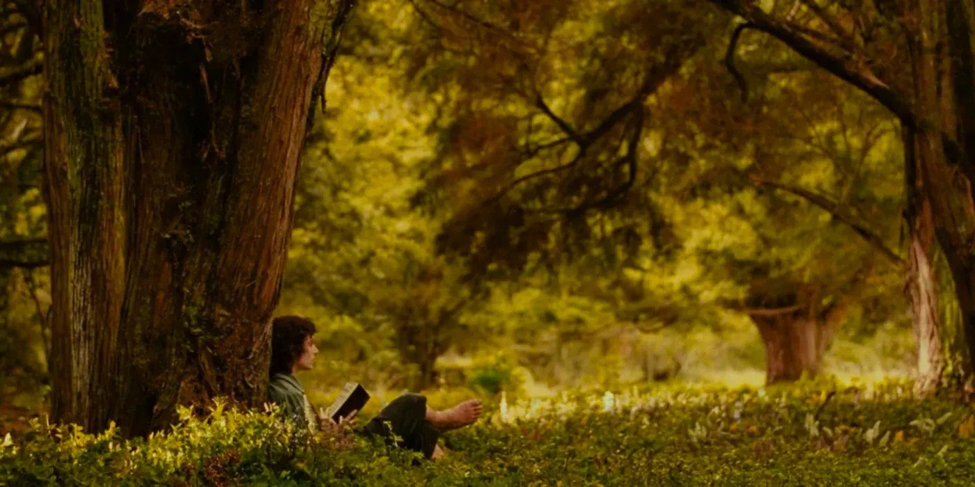 Frodo reading under a tree in the Shire from The Lord of The Rings Image