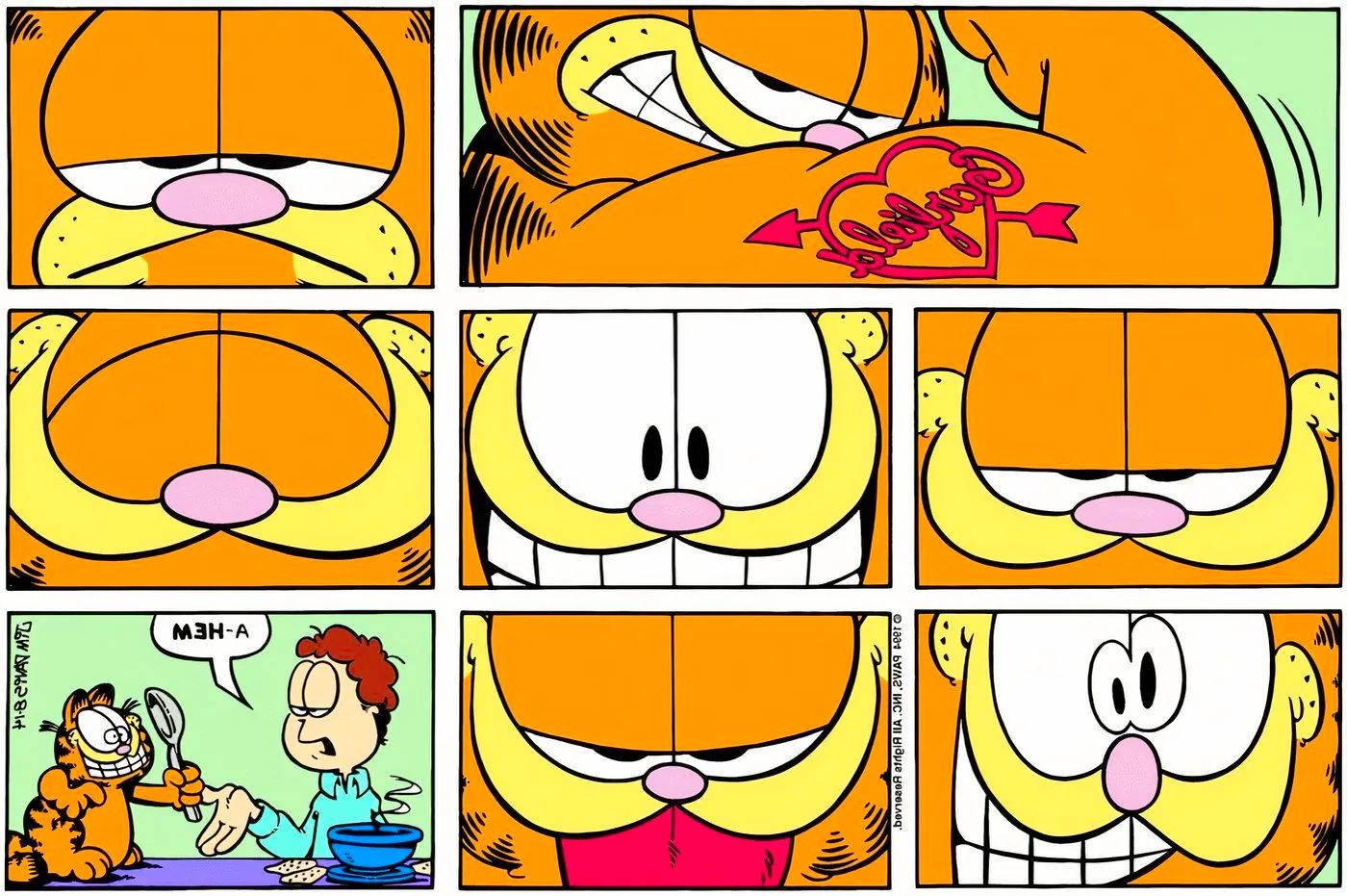 Garfield making faces at himself in a spoon's reflection. Image