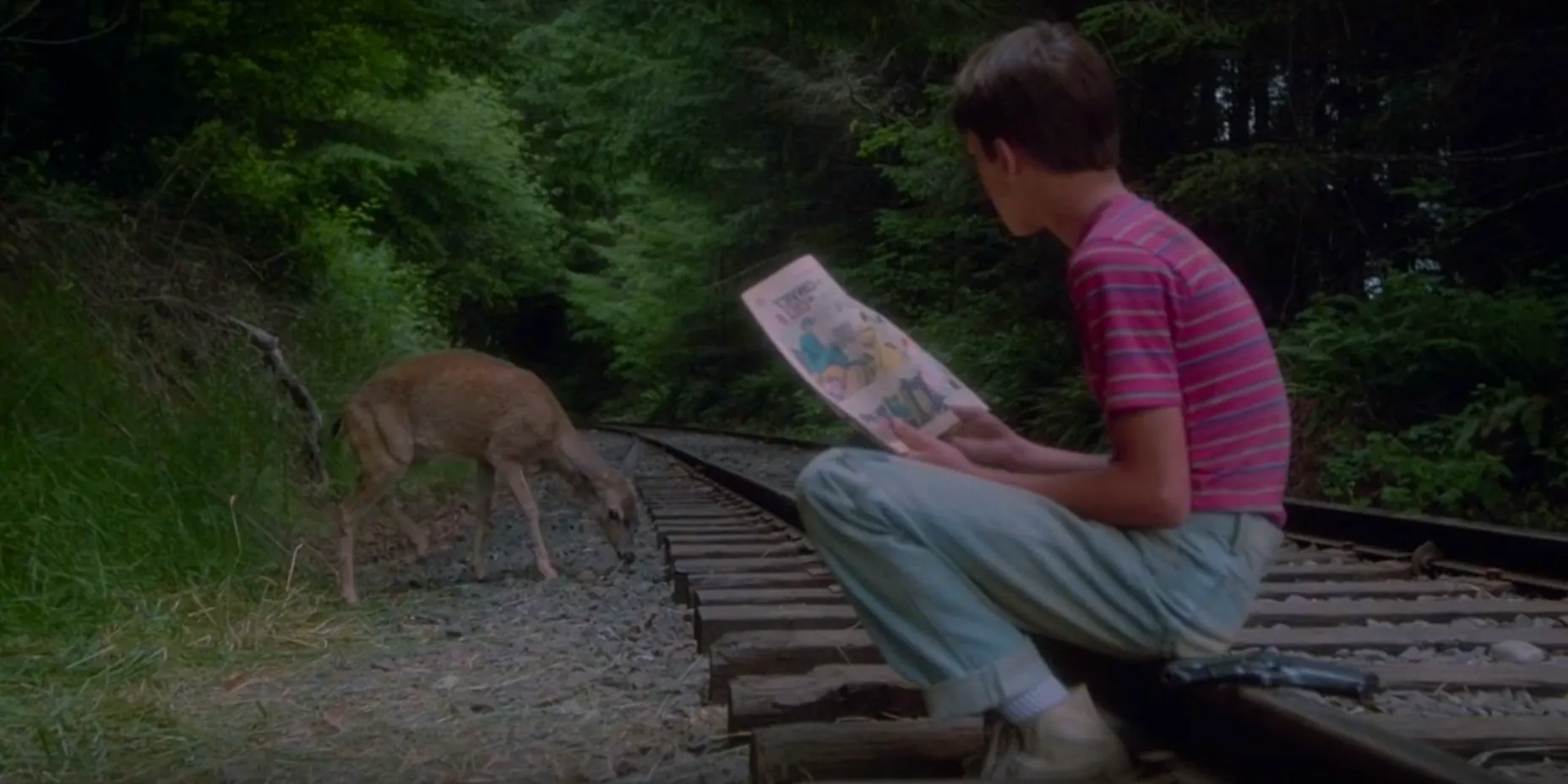 Gordie sees a deer on the train track in Stand by Me Image