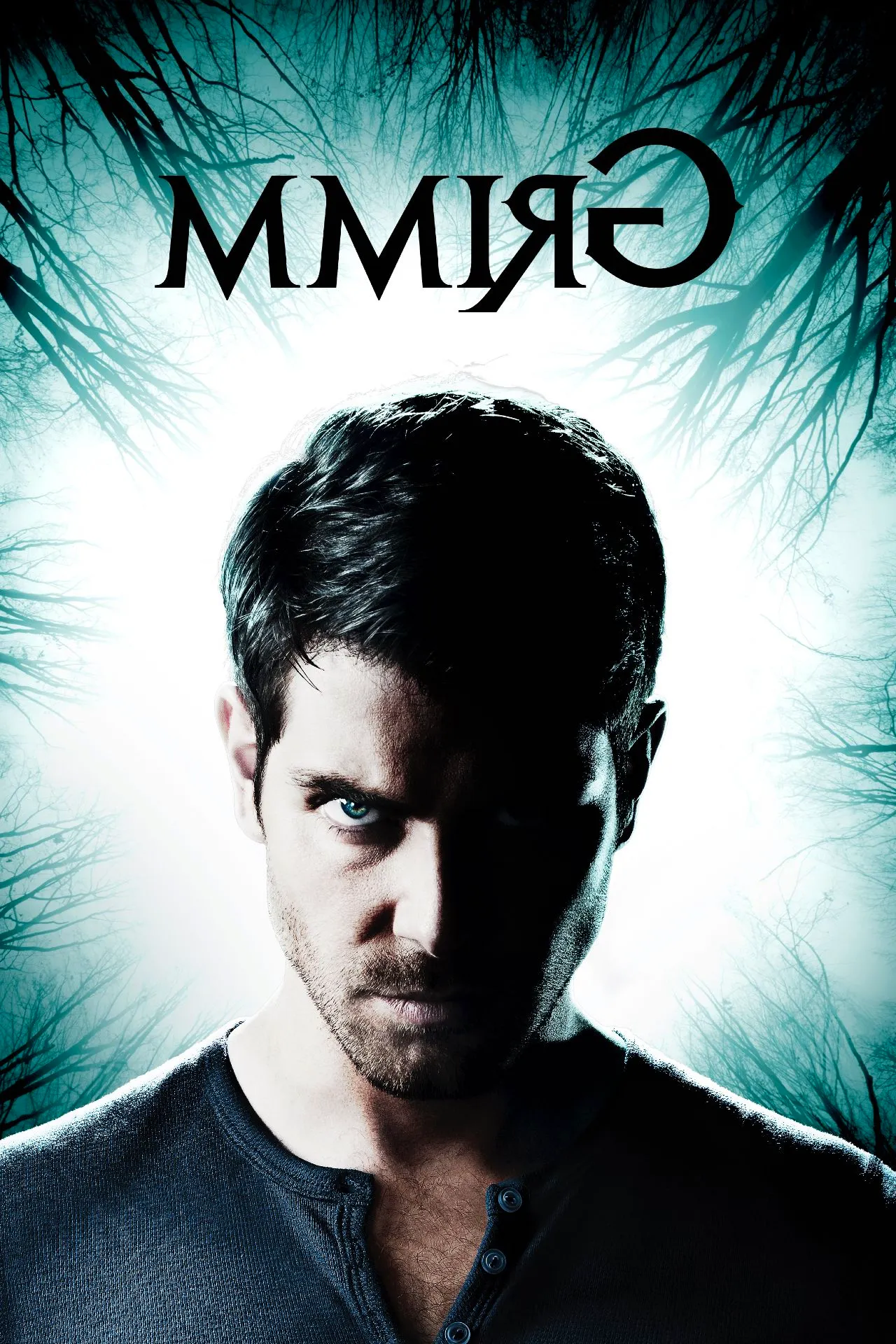 Grimm TV Poster Image