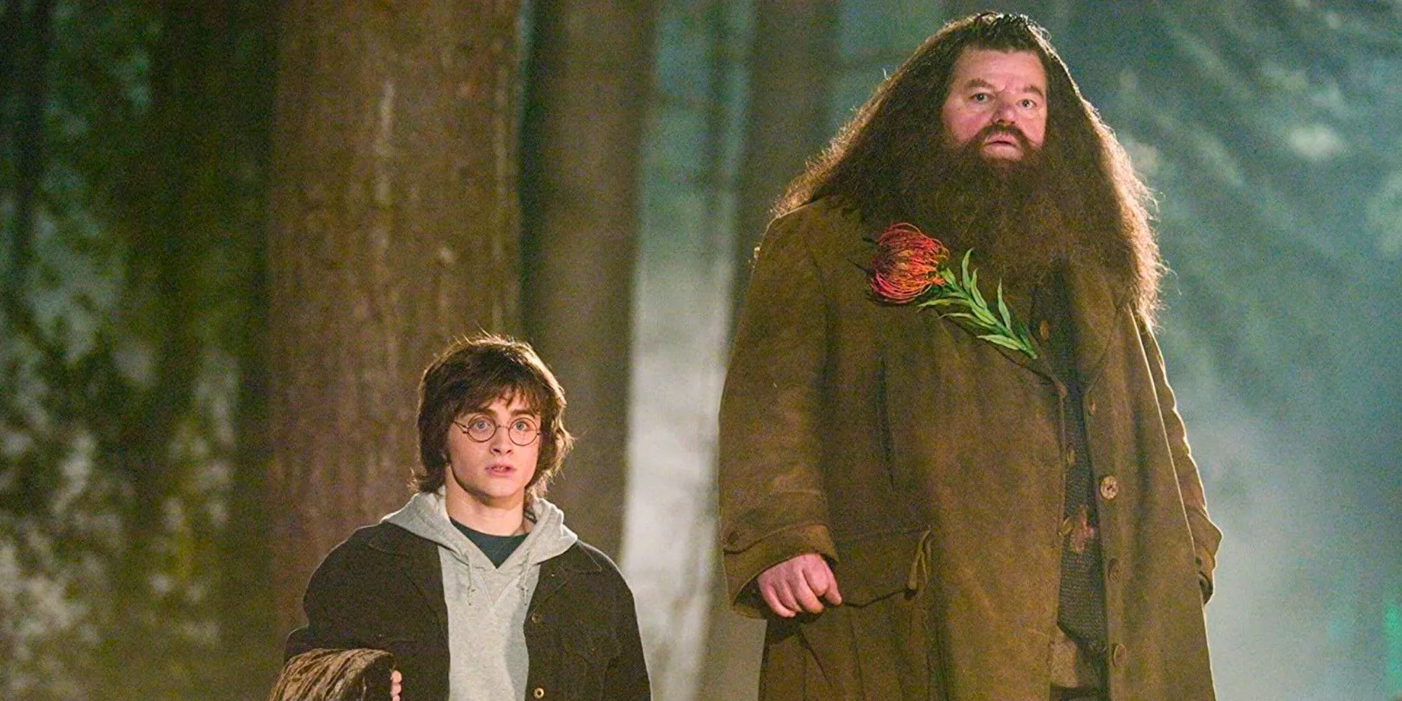 Hagrid & Harry Potter Image