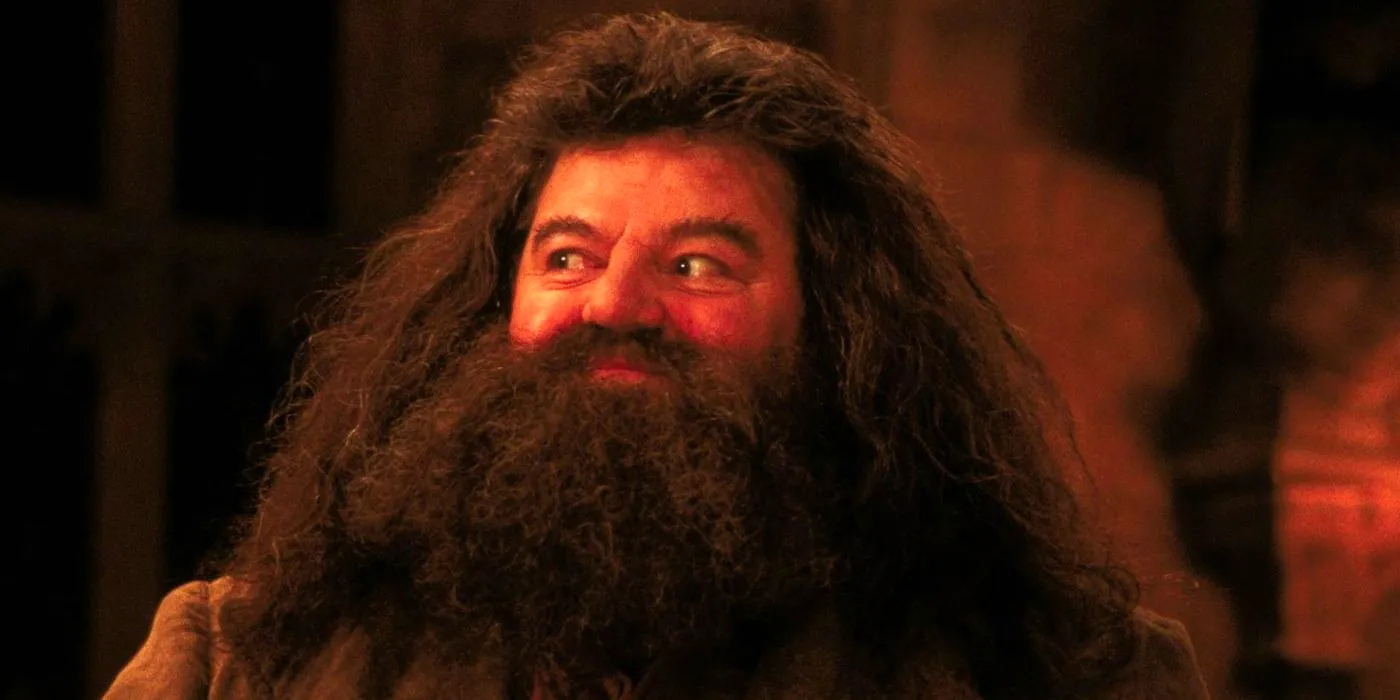 Hagrid in Harry Potter Image