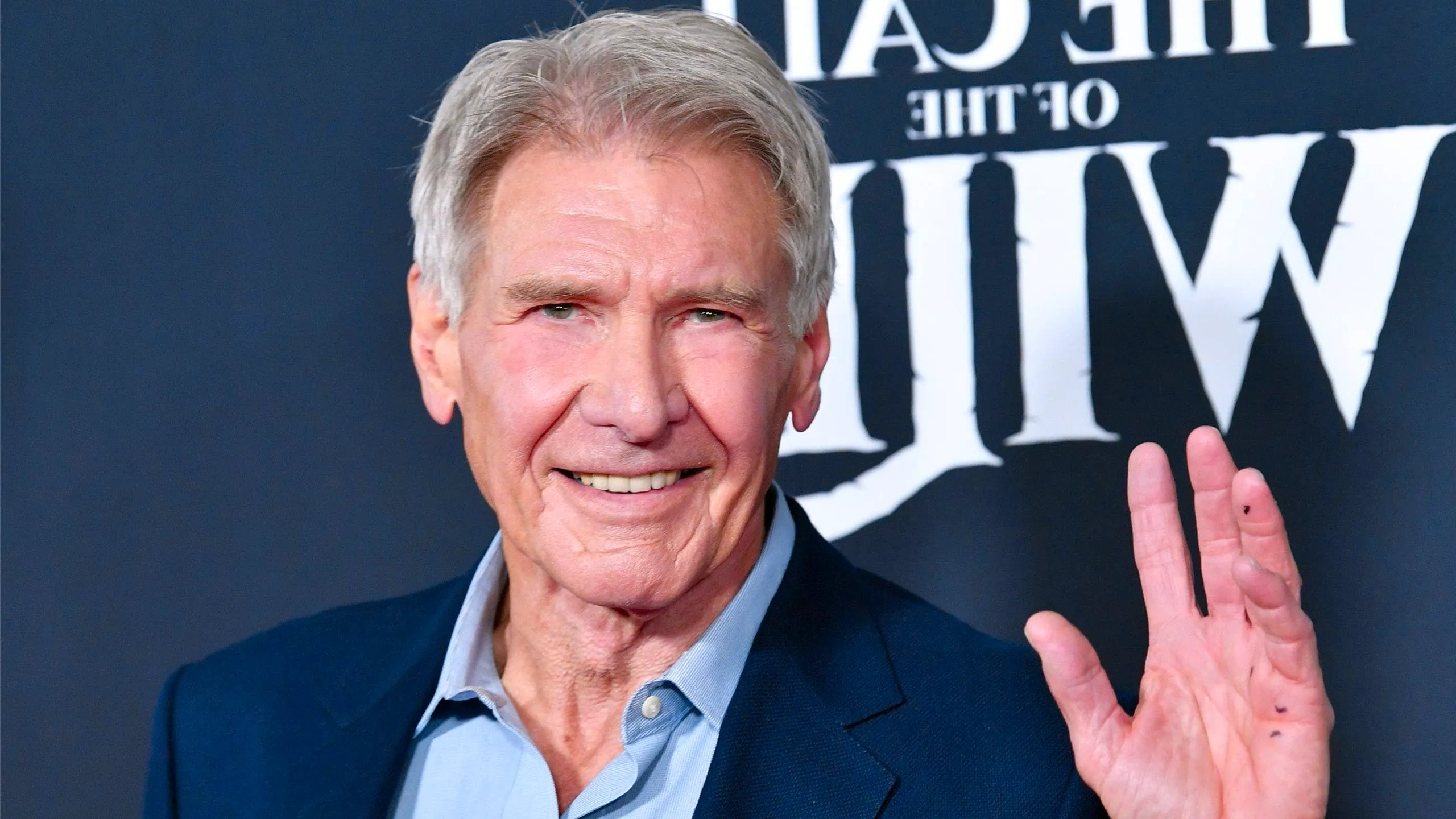 Harrison Ford becomes latest Hollywood A-lister to endorse Kamala Harris: I'm voting to 'move forward' Image