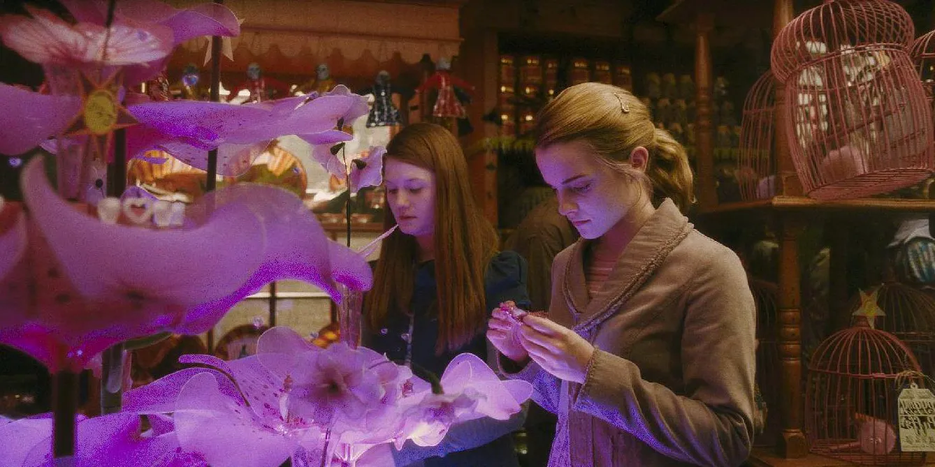 Hermione and Ginny looking at love potions in Harry Potter.  Image