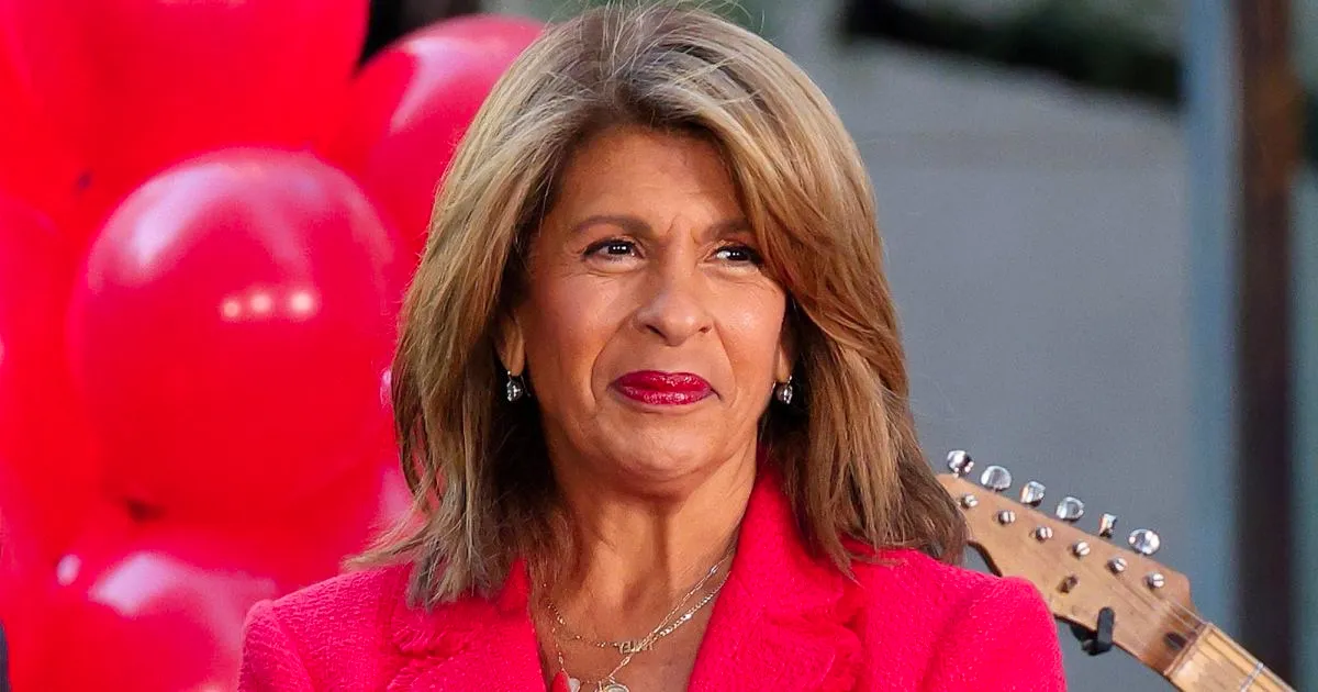 Hoda Kotb Teases Her Next Career Move Ahead of Today Show Exit Image