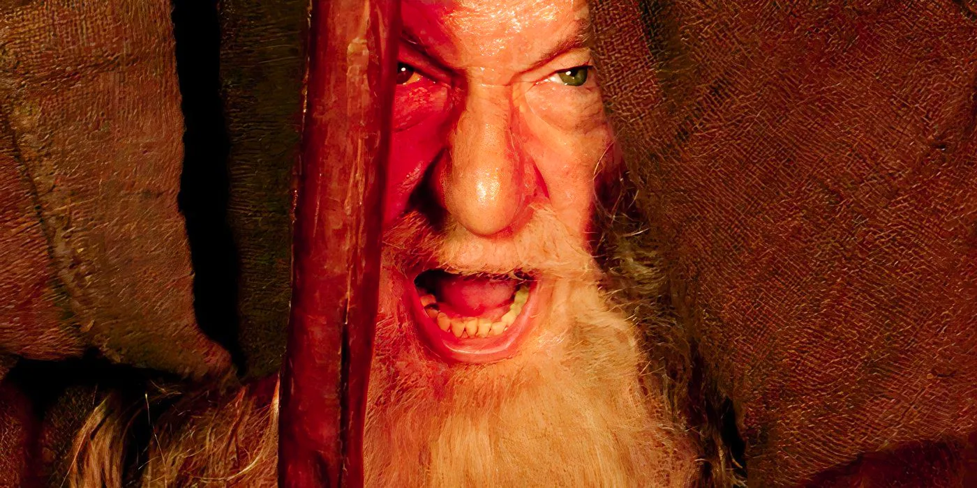 Ian McKellen as Gandalf blocking the Balrog with his staff in Lord of the Rings: The Two Towers Image