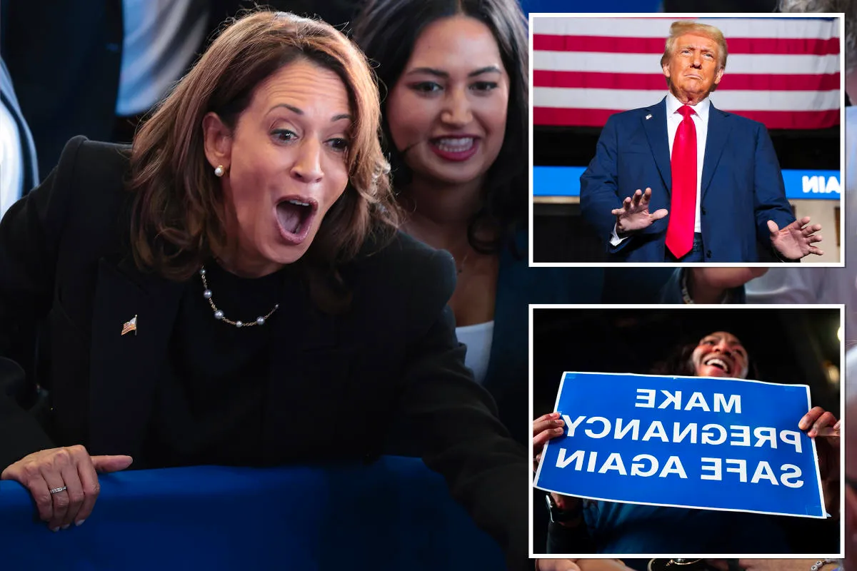 Kamala Harris misstates Trump policies on abortion, IVF, pregnancy monitoring and birth control at swing state rallies Image