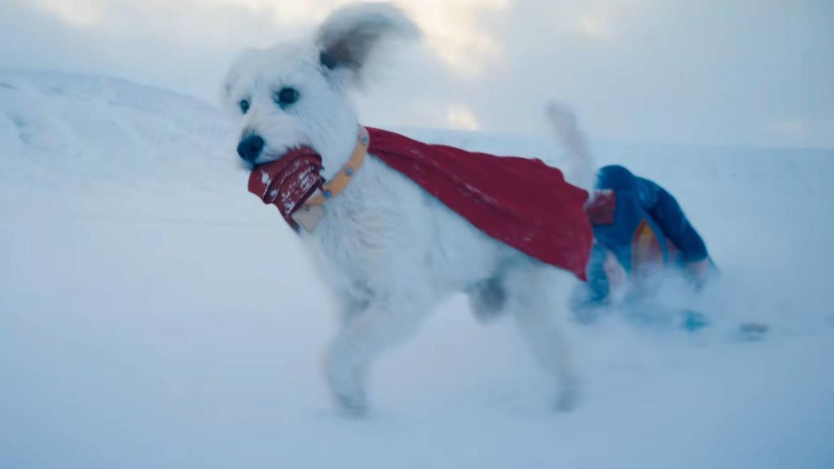 Krypto the Superdog: The Kryptonian Dog's Guide to James Gunn's Superman Movie & DCU Fun! image 3 