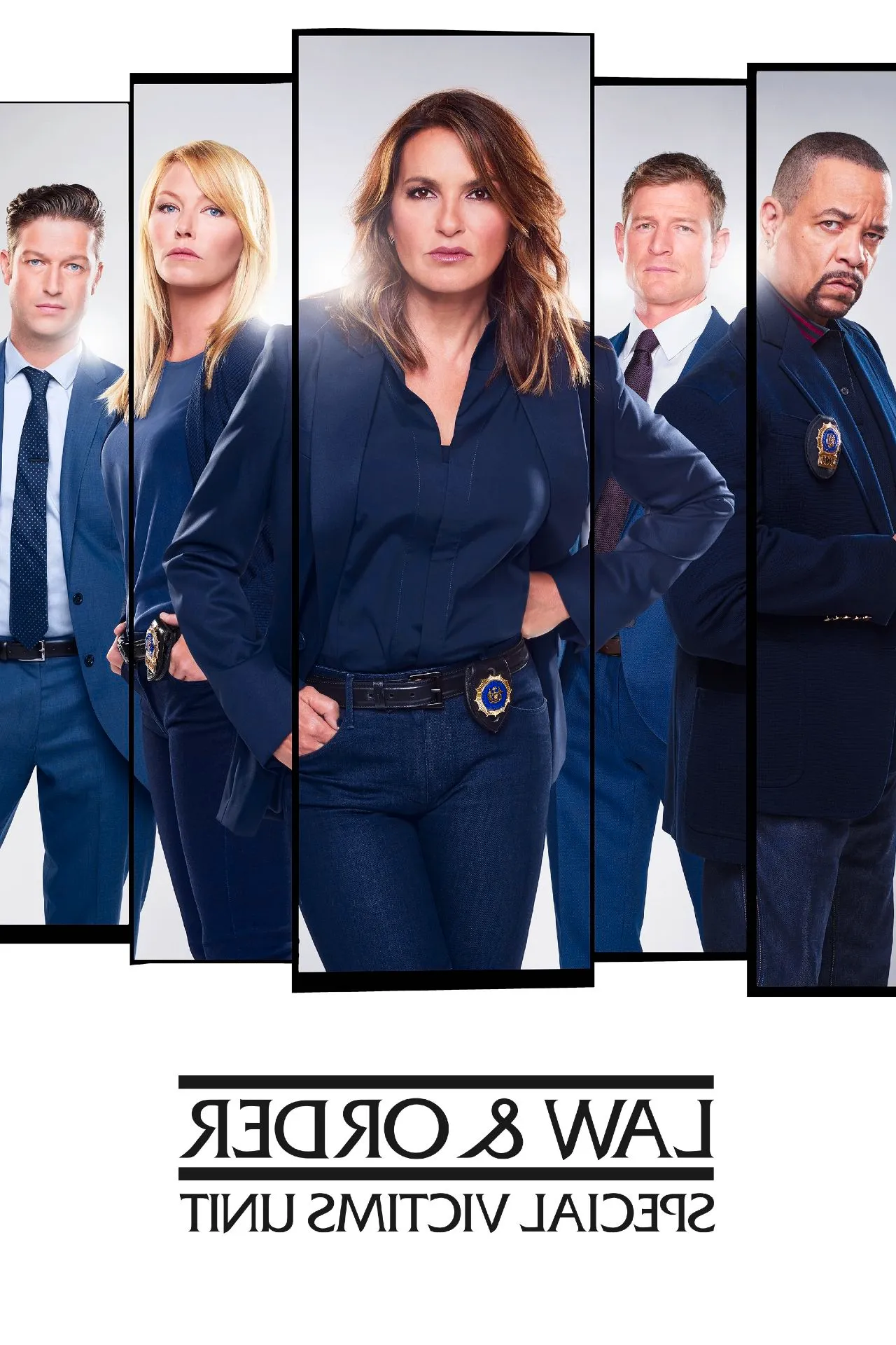 Law and Order SVU TV Poster Image