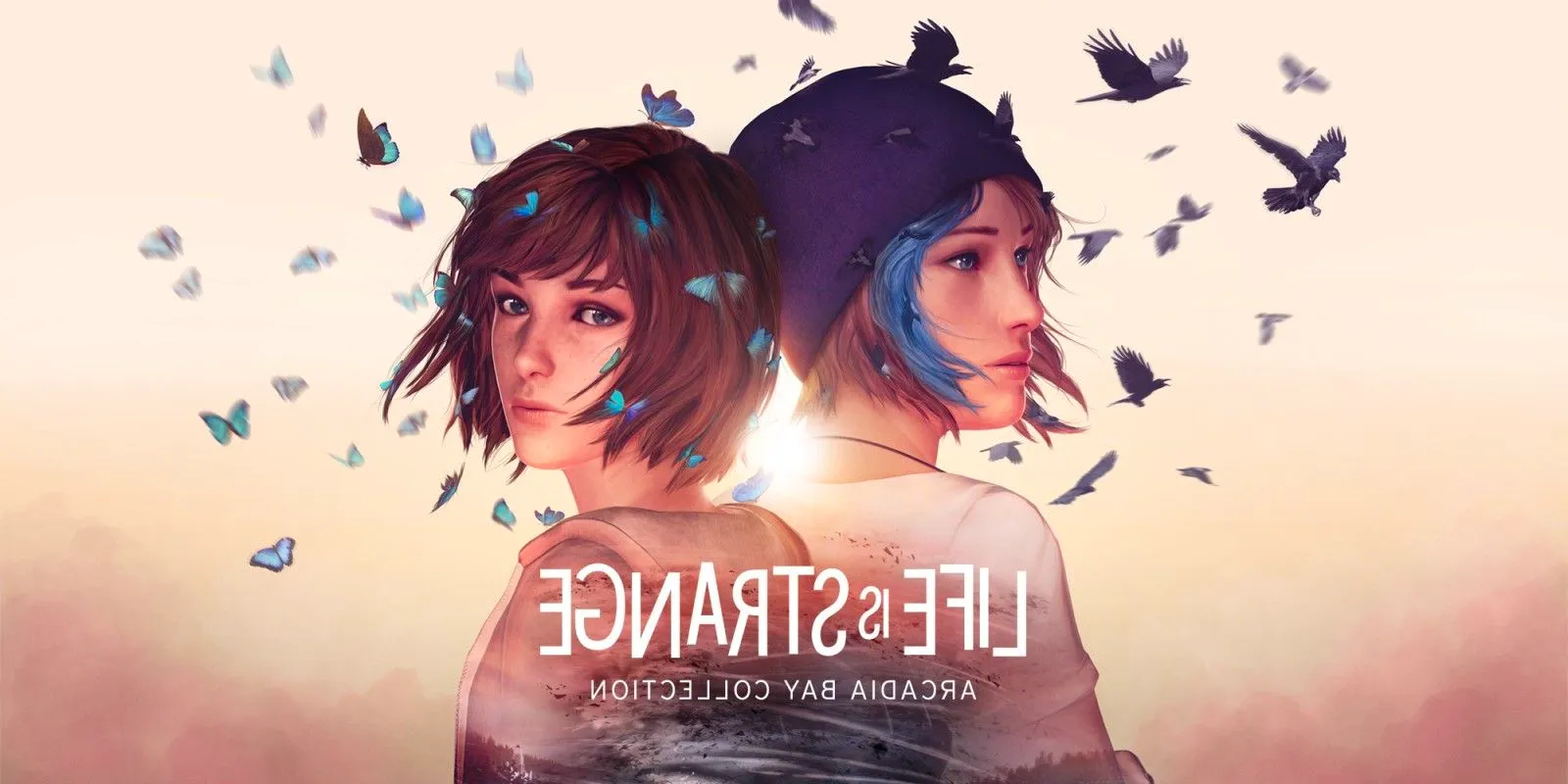 Life Is Strange Arcadia Bay Collection Art Image