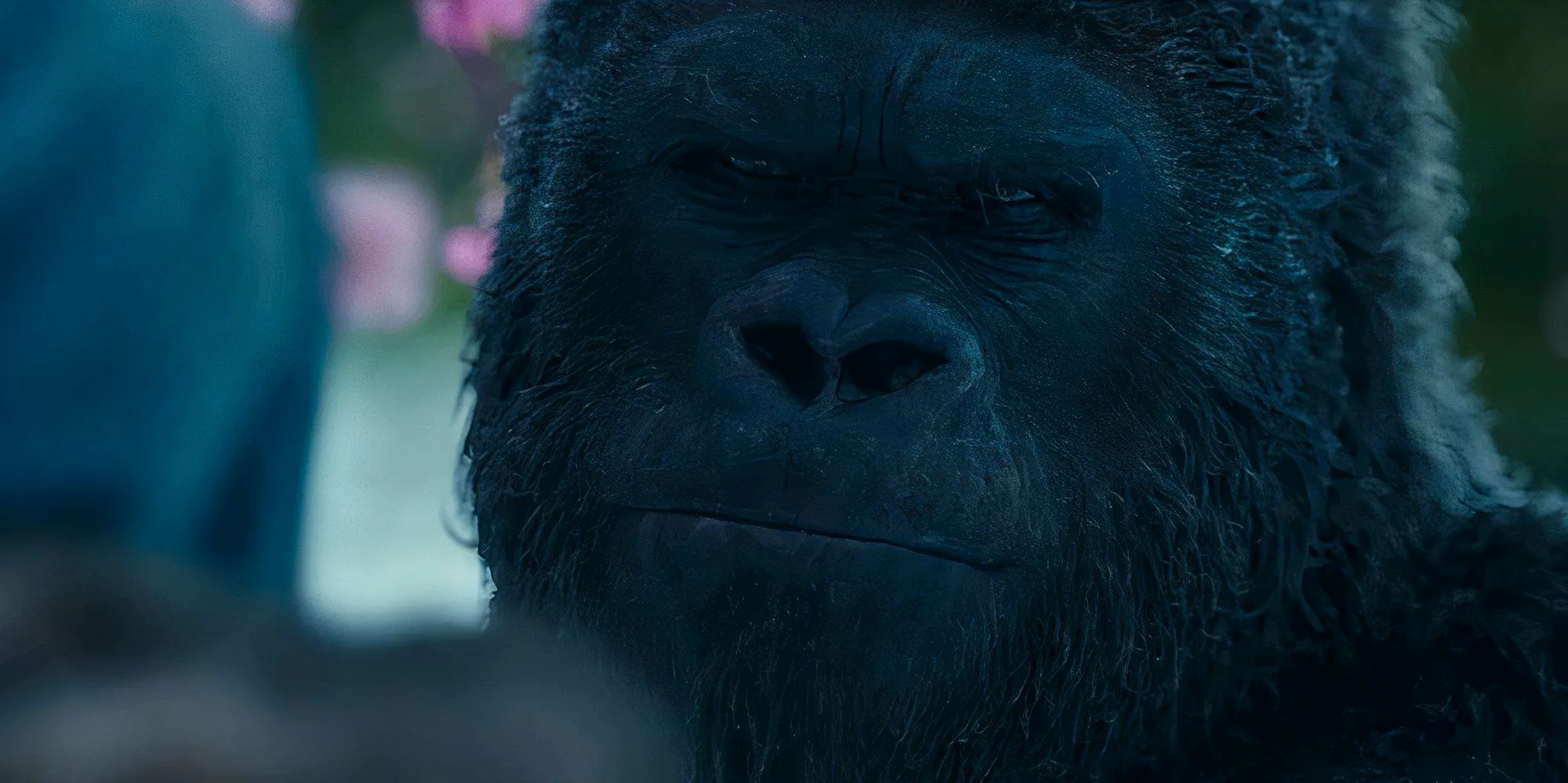 Luca looking angry in War for the Planet of the Apes Image