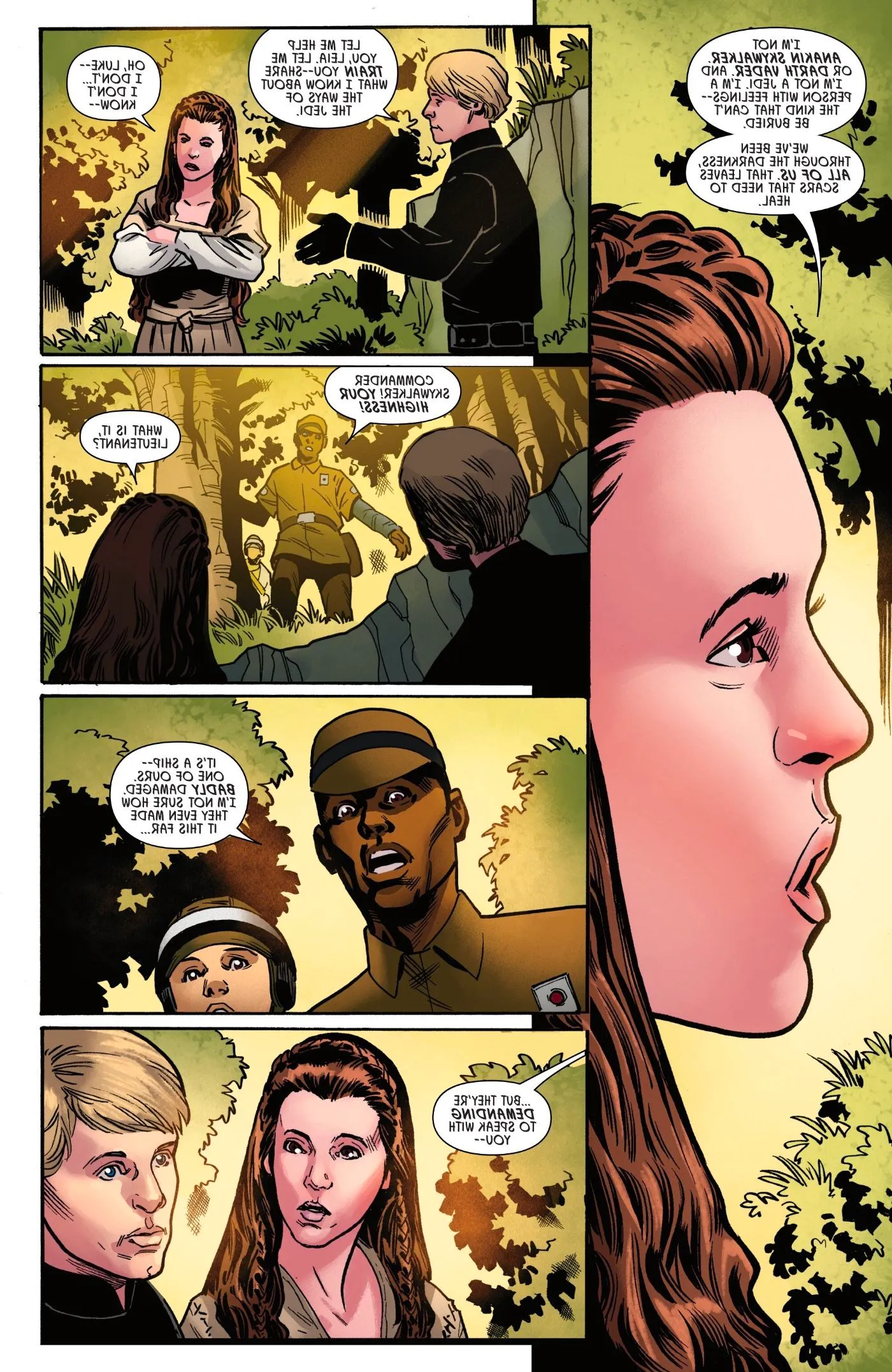 Luke Offers To Train Leia in Insurgency Rising #1 Image